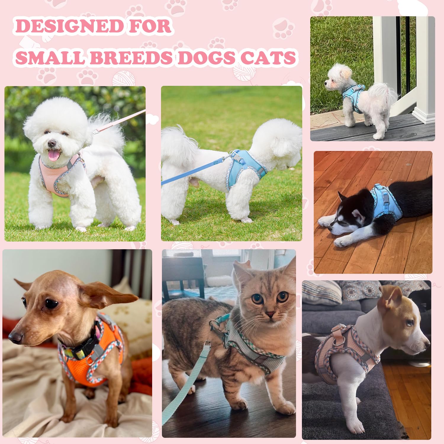 Dog Harness and Leash Set, No Pull Adjustable Reflective Pet Harness for Small Medium Dogs, Easy Walk Step in Vest Harness Outdo