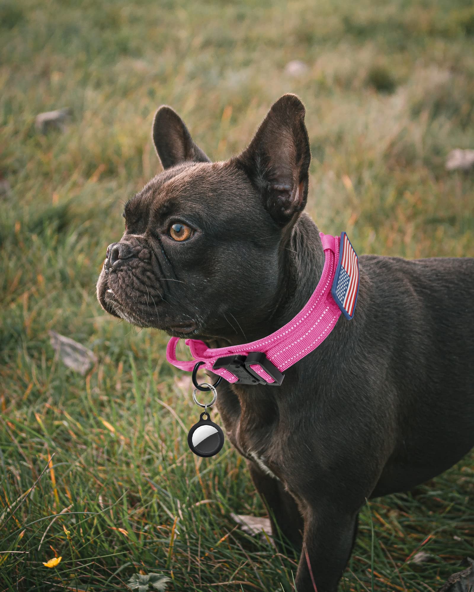 Aubell Reflective Dog Collar, Tactical Dog Collar Adjustable Military Nylon Collars With Handle And Heavy Duty Metal Buckle For Medium Large Dogs, With 2 Patches And Airtag Case Holder (Hotpink, Xl)