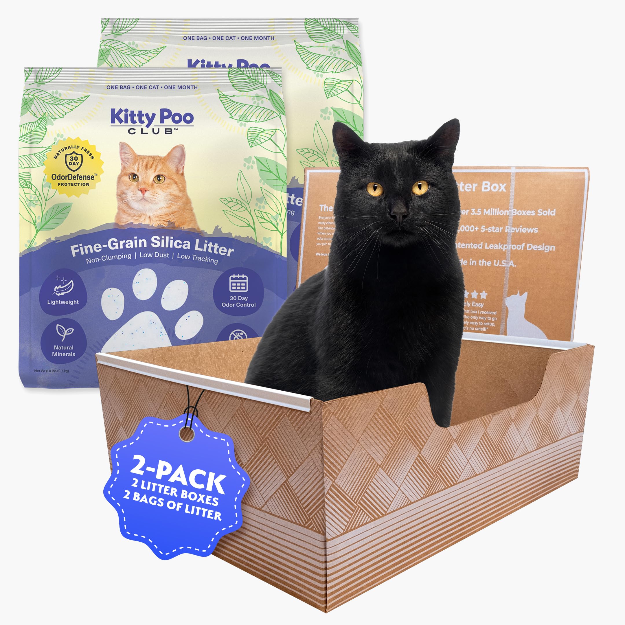Leakproof Disposable 2-Pack Cat Litter Box With 2 Bags Of 6 Lbs Litters | Superior Odor Control & Recyclable Design | Perfect Fo