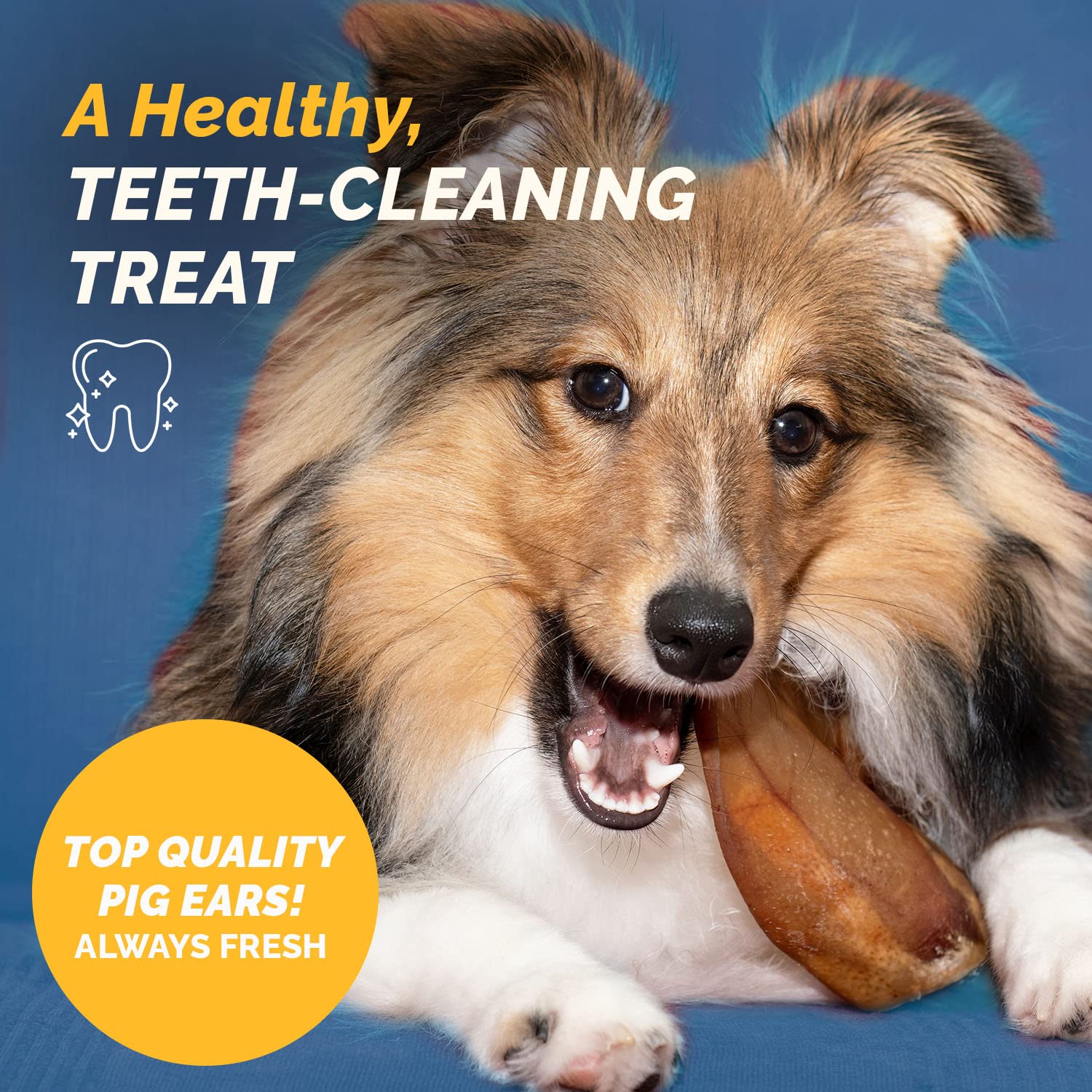 123 Treats Pig Ears for Dogs - 100% Natural Long Lasting Pork Dog Chews with Delicious Dog Chew Treat, Ideal for All Chewers, He