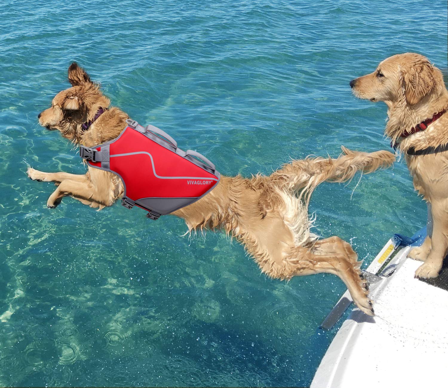 Vivaglory Life Jacket For Dogs Of Sports Style, Water Vest Jacket For Dog, Heavy Duty Pet Safety Vest, Comfortable Neoprene Lifejackets With Hook & Loop Closure, Red, Large