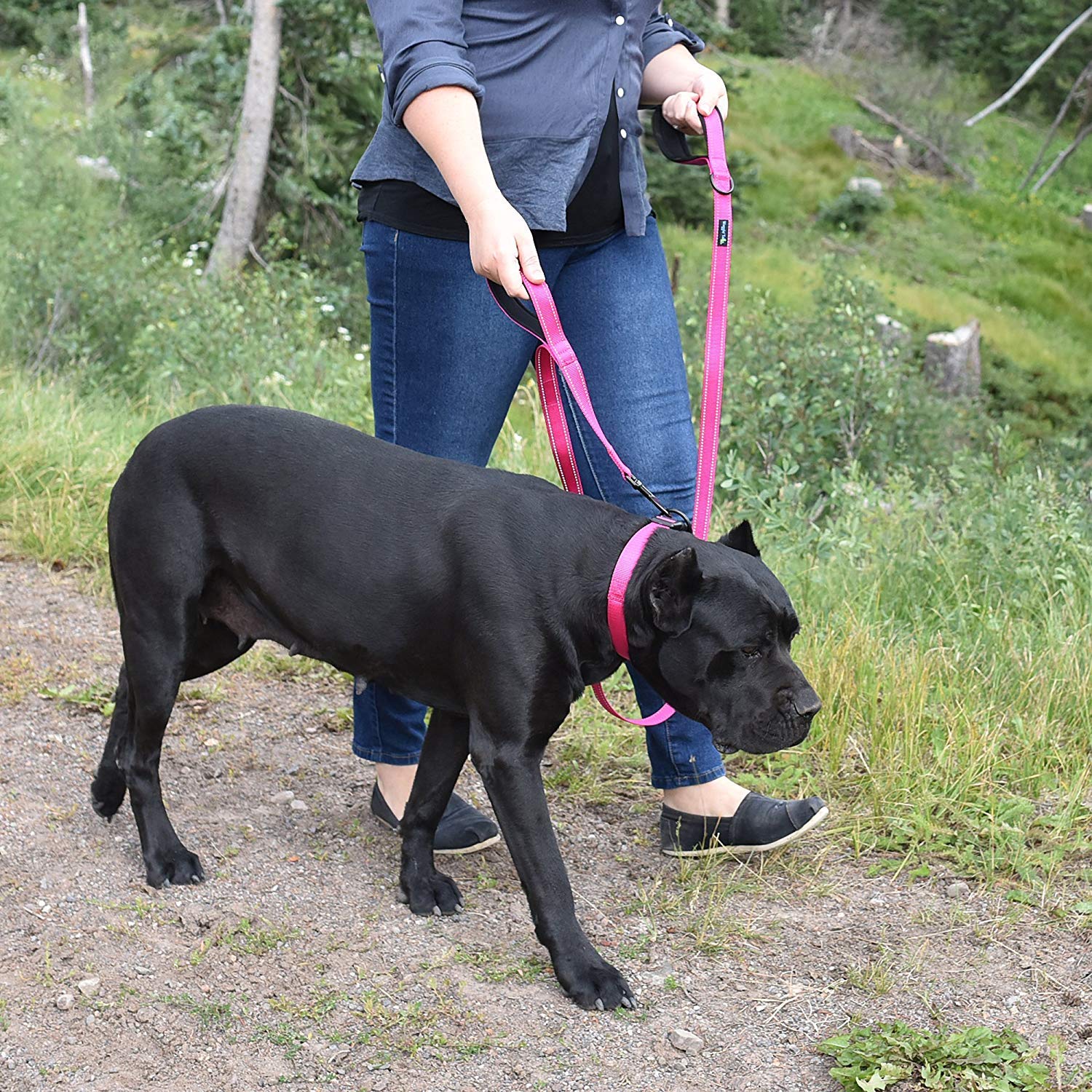Waggin Tails Dual Handle Dog Leash, Premium Nylon, Reflective Lively Pink, Medium to XLarge, Double Padded Comfort