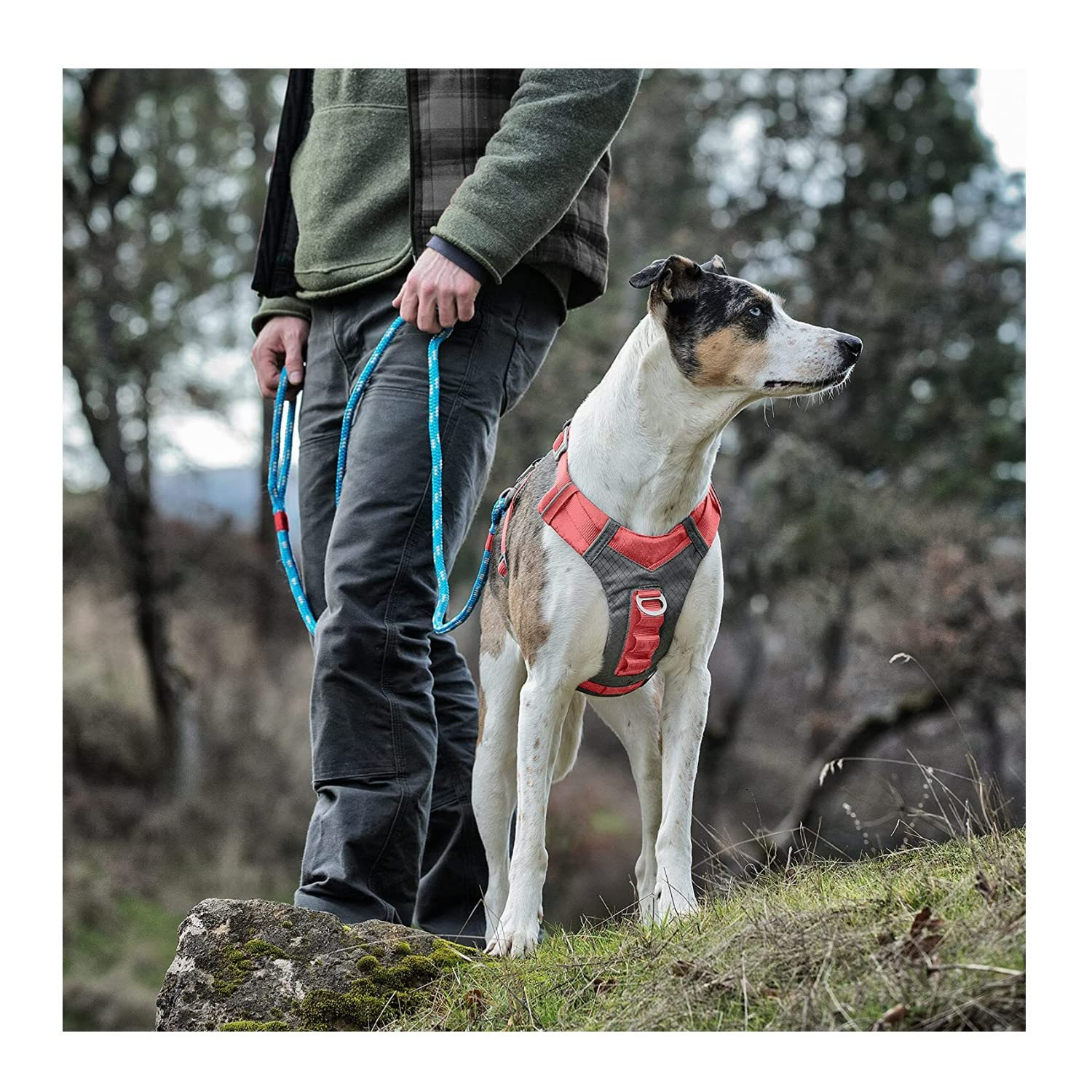 Kurgo Journey Air Dog Harness, Vest Harnesses For Dogs, Pet Hiking Harness For Running & Walking, Reflective, Padded, Includes Control Handle, No Pull Front Clip (Coral, X-Large)