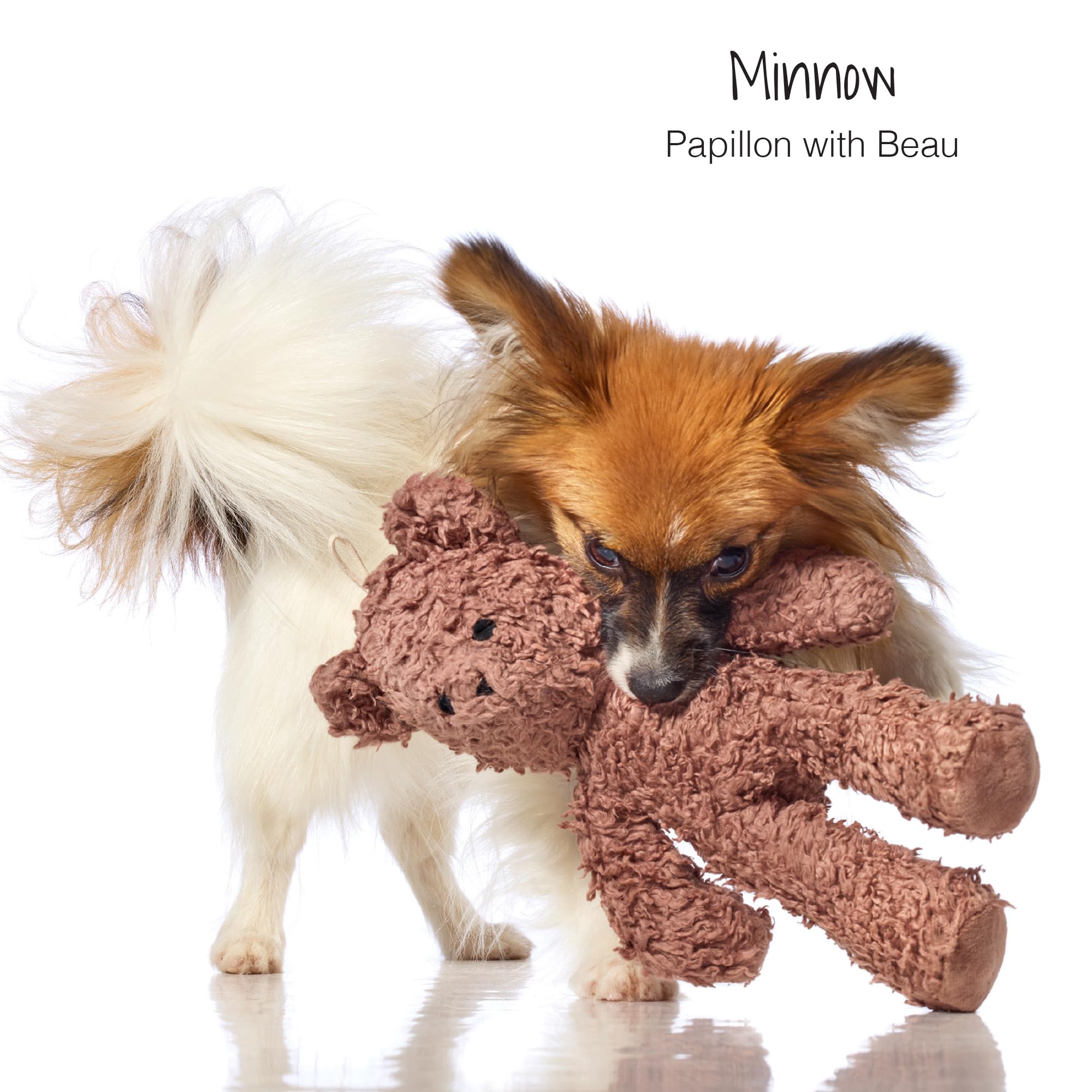 Pet Passion Plush Durable Cotton Dog Toys with Coconut Fill for All Pet Breeds, Bear, One Size