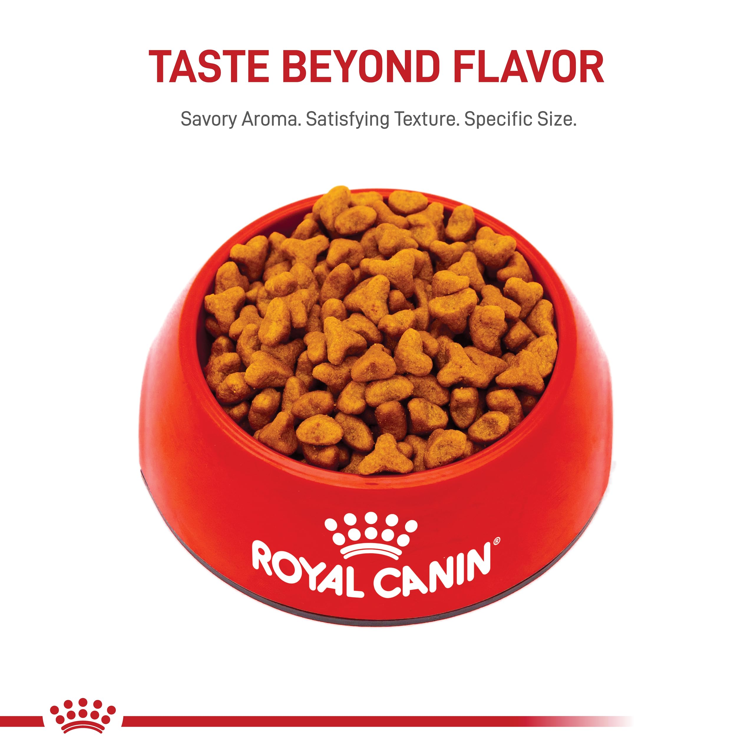 Royal Canin Pug Adult Breed Specific Dry Dog Food, 10 lb bag
