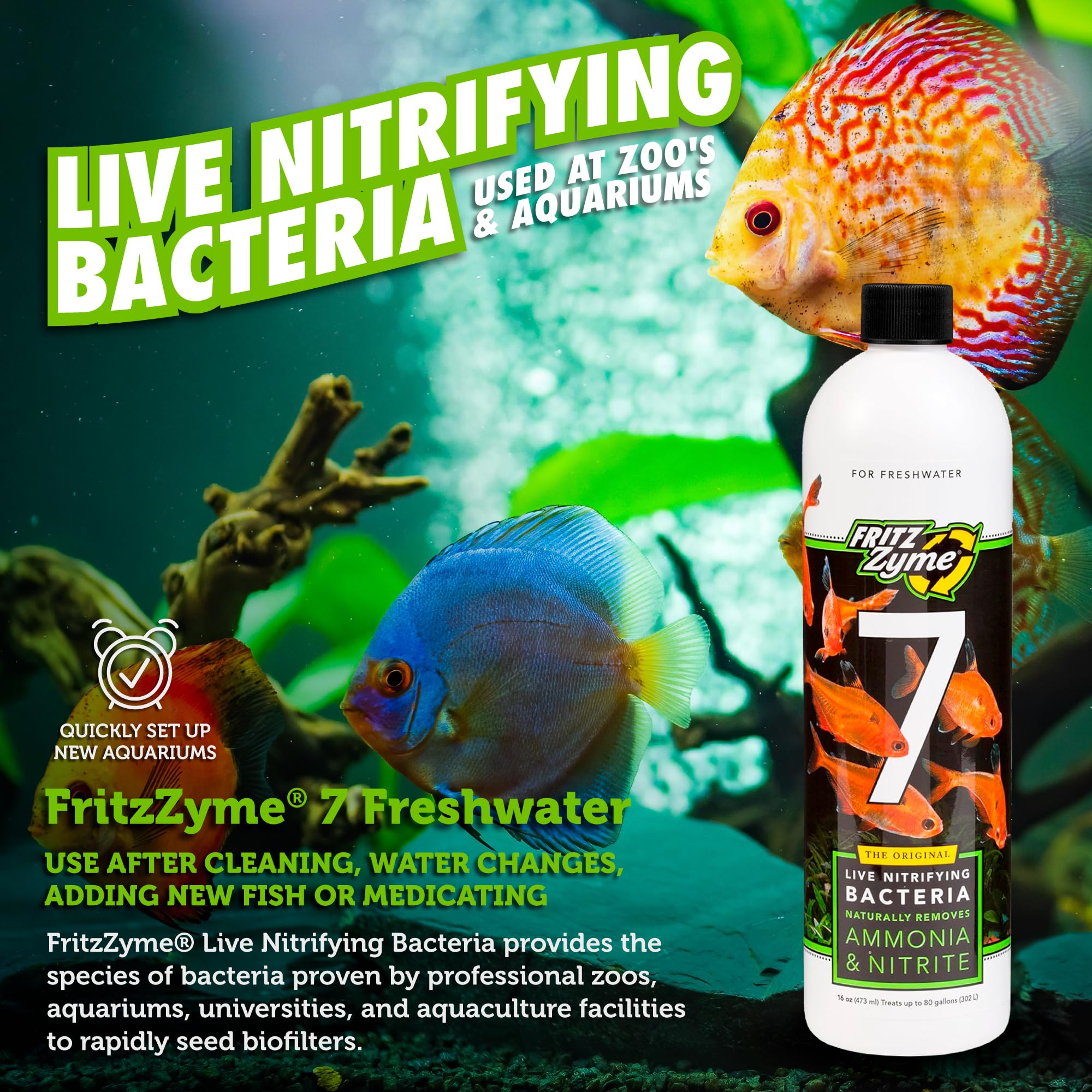 Fritz Aquatics Fritzzyme 7 Live Nitrifying Bacteria Naturally Removes Amonia & Nitrite For Freshwater Fish (16-Ounce)