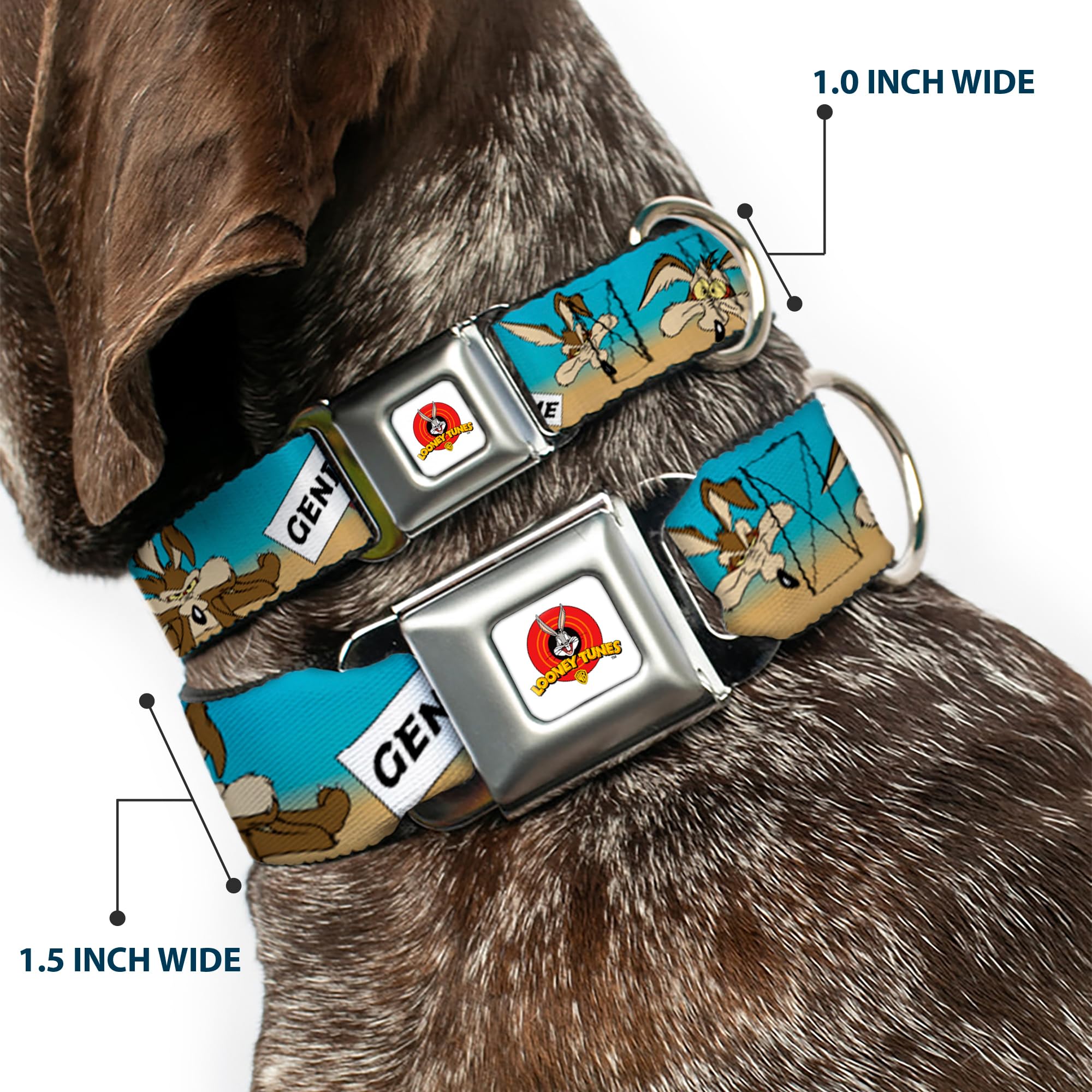Buckle-Down Seatbelt Buckle Dog Collar - Wile E. Coyote Expressions/Signs Desert - 1.5' Wide - Fits 18-32' Neck - Large
