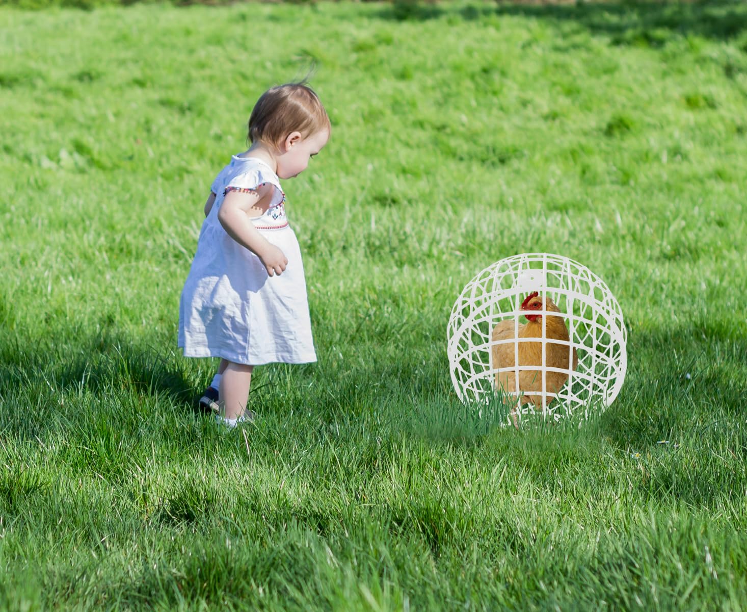 CalorMixs 15.7 Ball-Shaped Movable Chicken Coop,Pigeon Rabbit Duck Safe Walking Net,Preventing Trampled by Horse,Predation by Ea