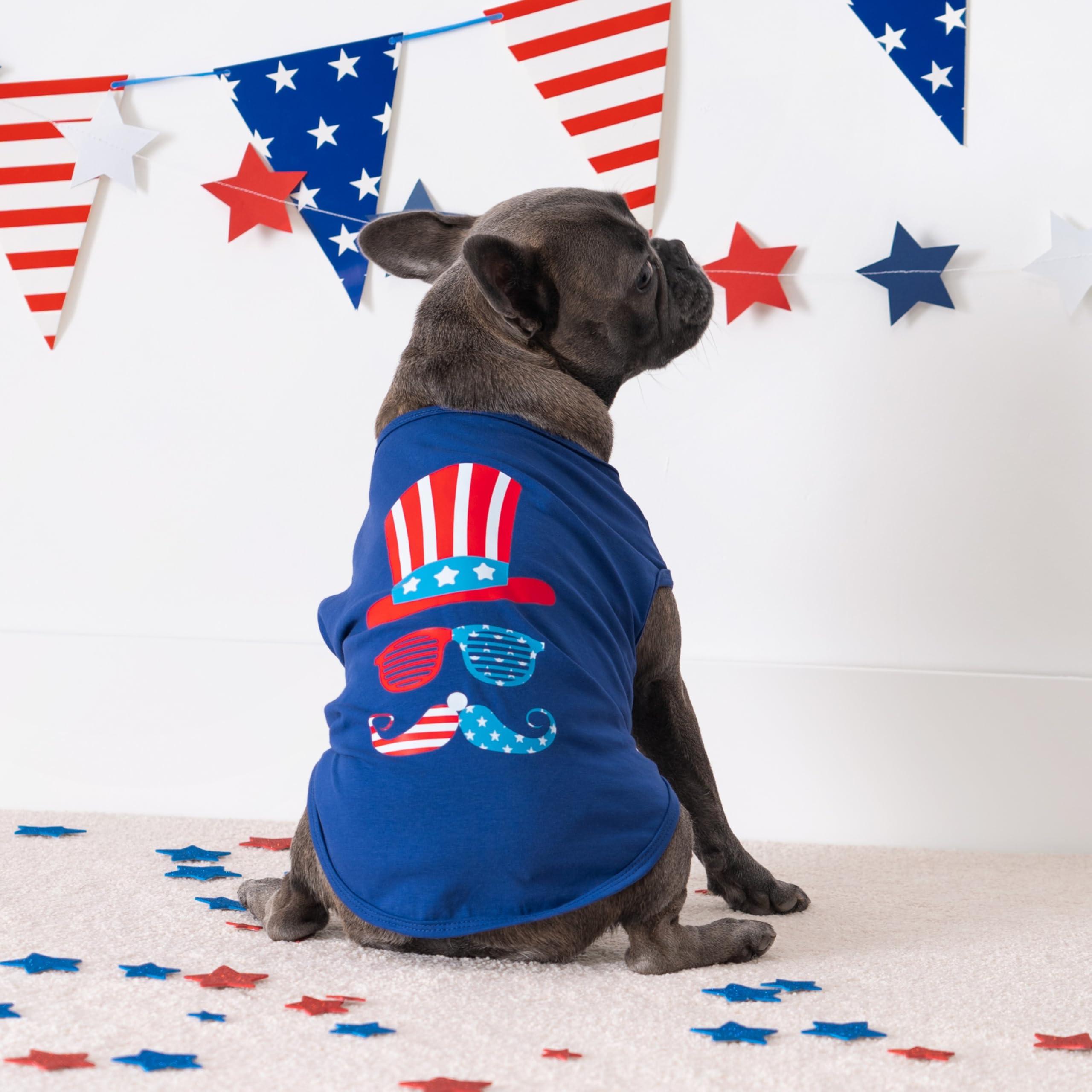 Fitwarm Patriotic Funny Dog Shirt, 4Th Of July Outfit For Small Dogs Boy Girl, Festive Pet Clothes, Red, White, Blue, Large