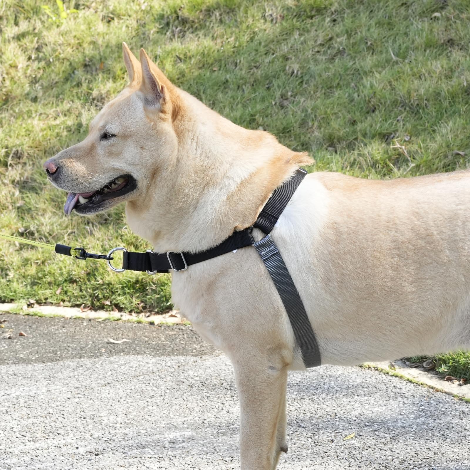 No Pull Dog Harness For Large Size Dogs, Adjustable Harness For Dog Training, Walking & Teach Better Leash Manners, Easy Control