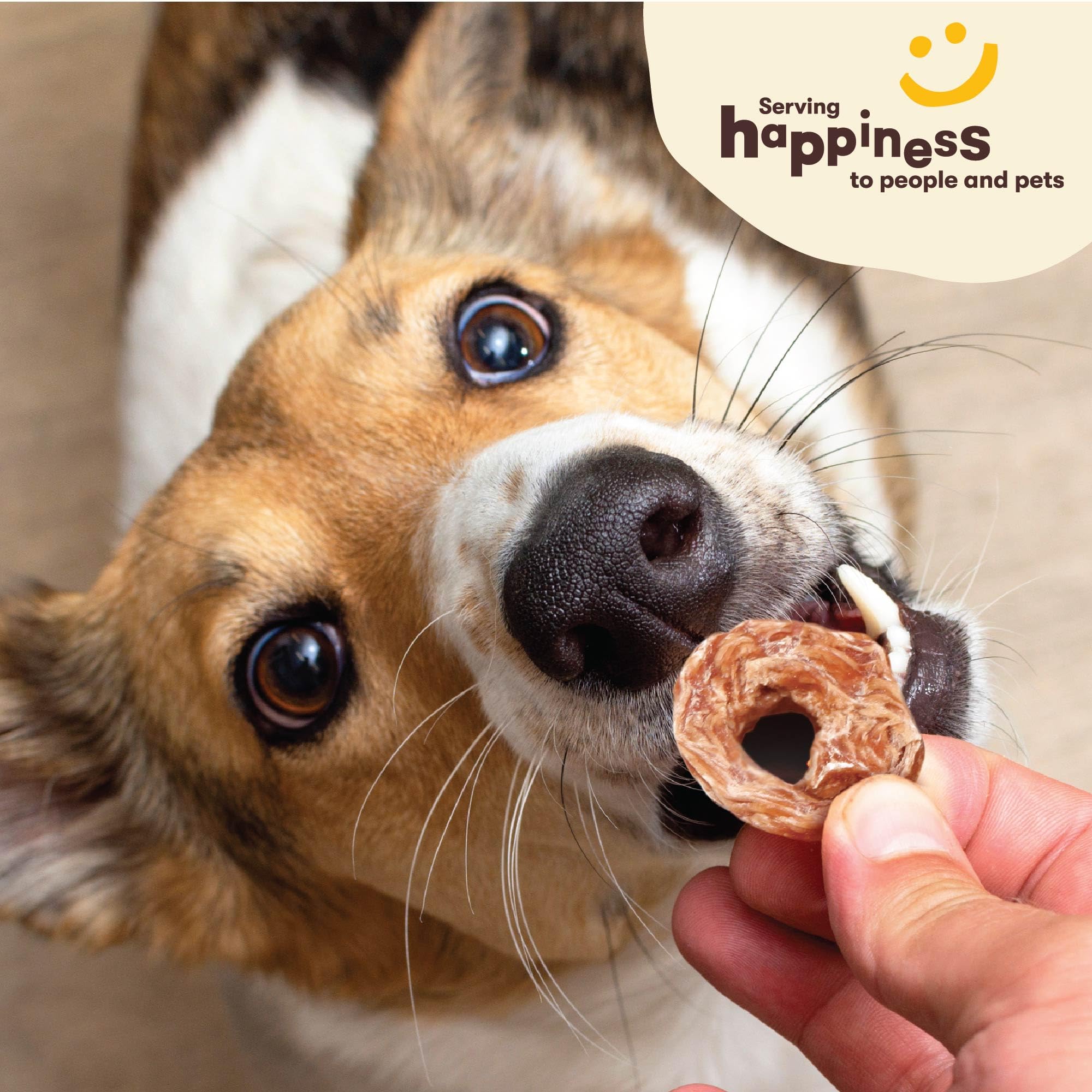 Pet 'n Shape Chik 'n Rings Dog Treats – Natural Chicken Breast Jerky, 2 lb, Ideal for Dogs