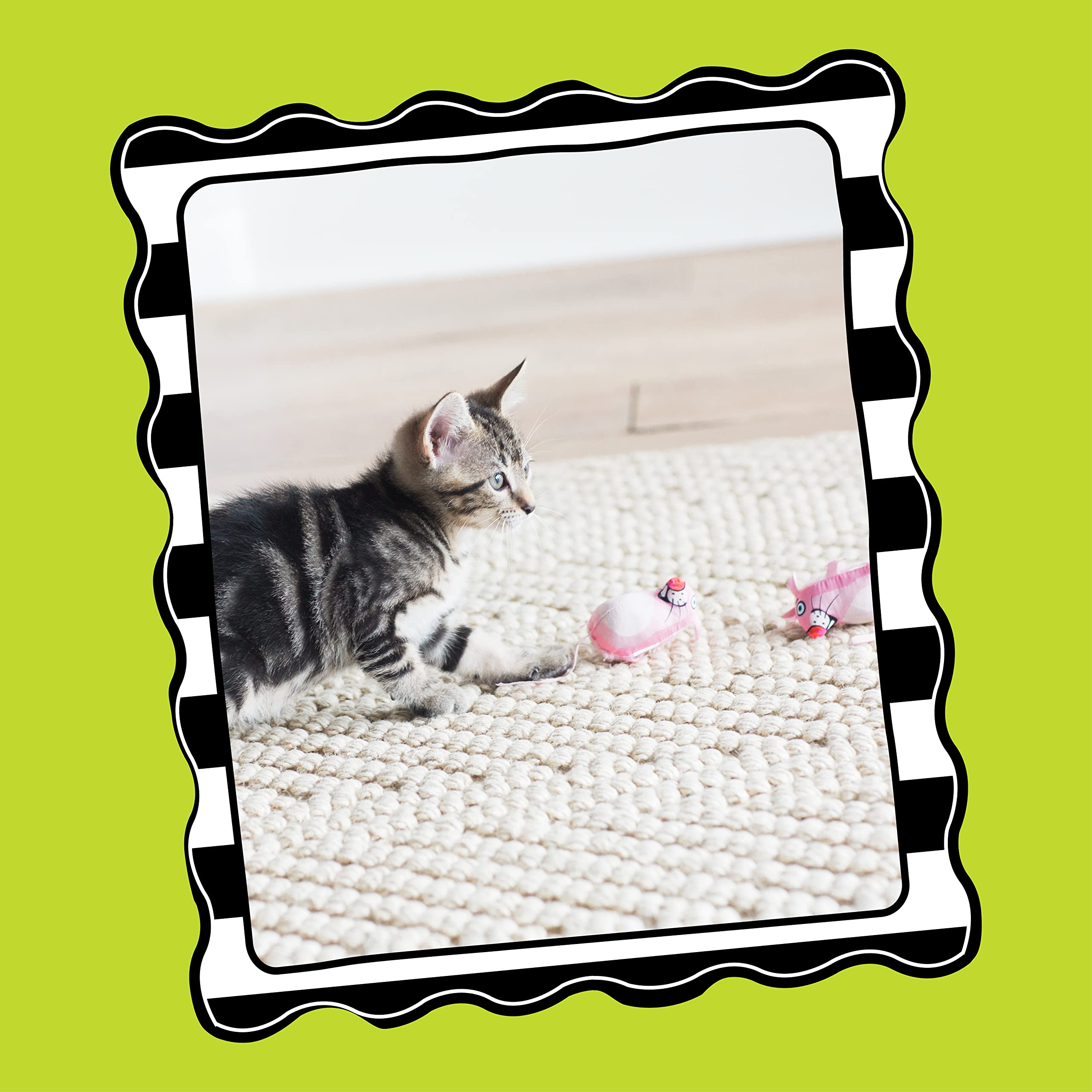 Doskocil Bamboo Pet Cam650384 Fat Cat Kitty Hoots Eeeks Chic Catnip Toy, Multicolor