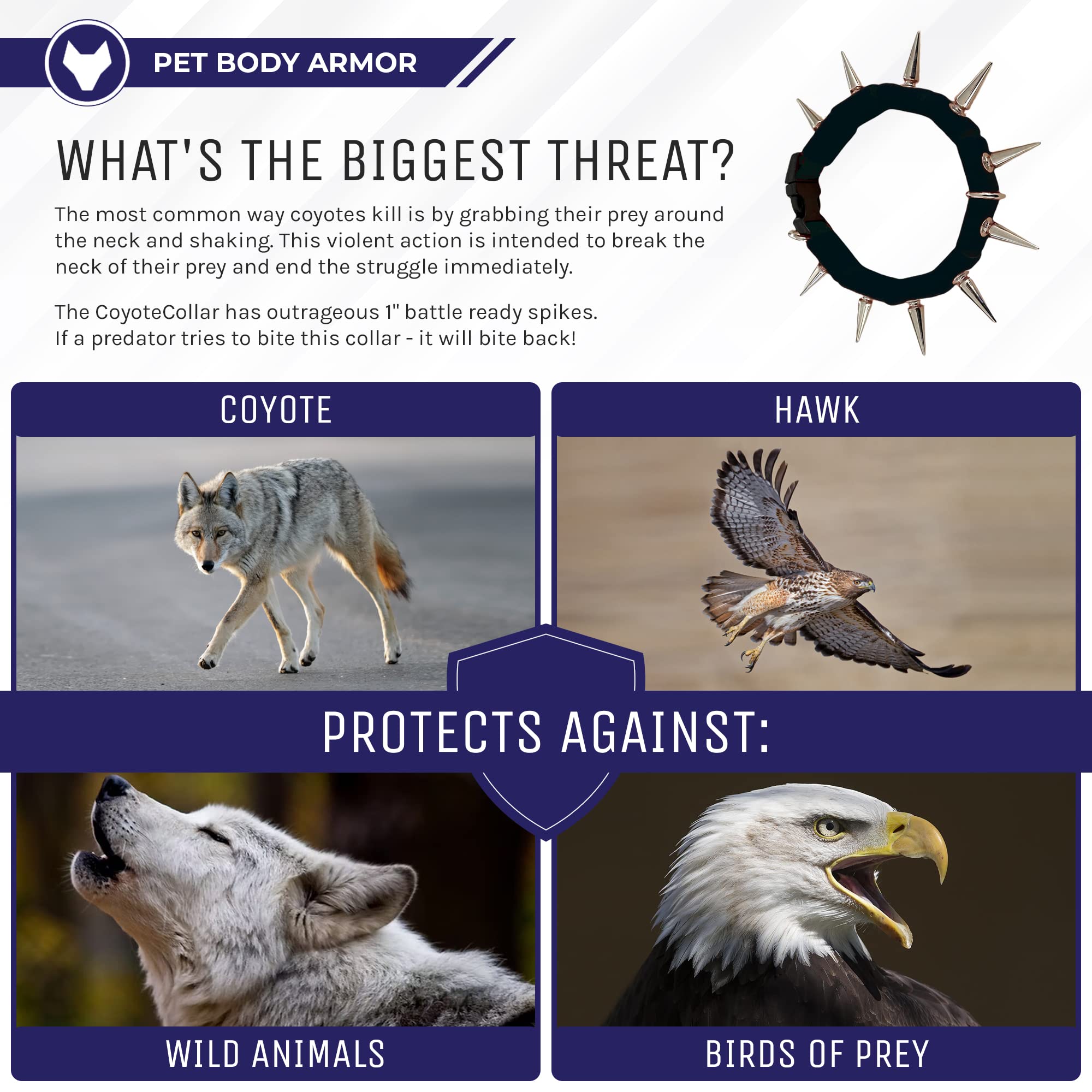 Coyotecollar Spiked Dog Collar - Small Black Spike Collar, Adjustable, Studded, Protection Against Coyotes And Aggressive Dogs