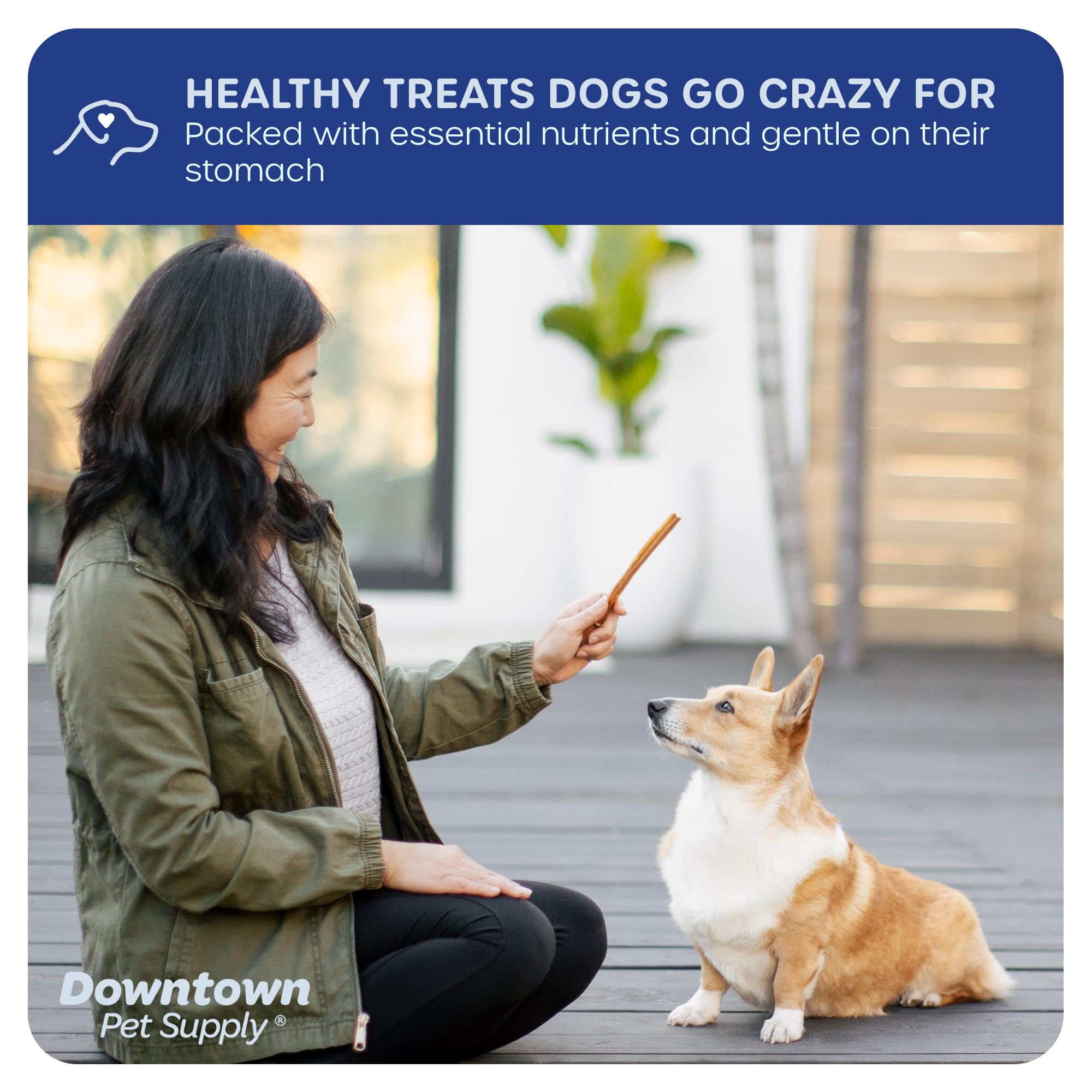 Downtown Pet Supply Bully Sticks for Dogs, Junior Size (12, 12-Pack) Rawhide Free Dog Chews Long Lasting Non-Splintering Pizzle