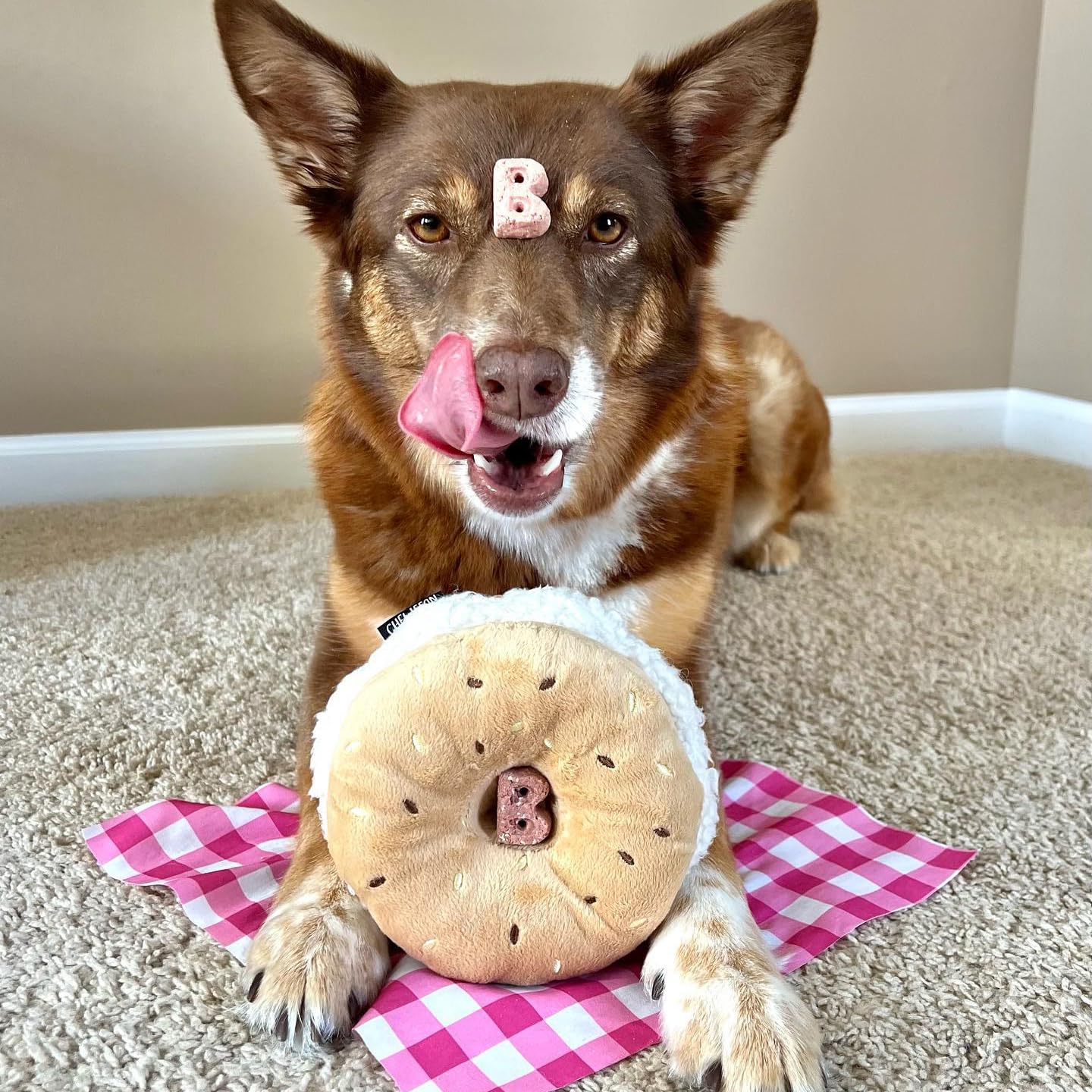 CHEWFFON Dog Plush Squeaky Toy, Interactive Bagel Shape Puppy Snuffle Toys, Cute Dog Puzzle Enrichment Toy Treat Puzzle for Smal