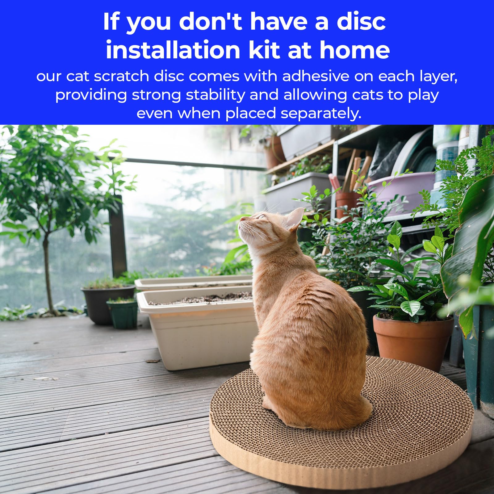 Round Cat Scratcher Refill - 10 Inch Diameter, 7/8 Inch Thickness - Scratching Board Replacement Pads (2Pcs) For Indoor Cats