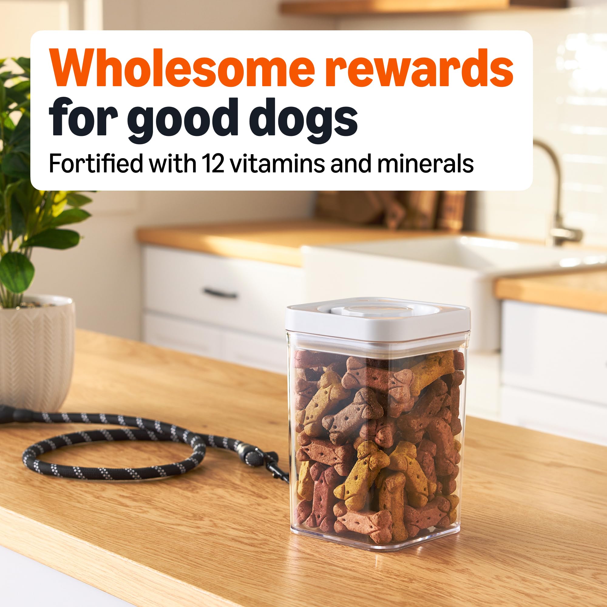 Amazon Basics Crunchy Dog Biscuits, Gravy Basted Flavor, 5 lb Box