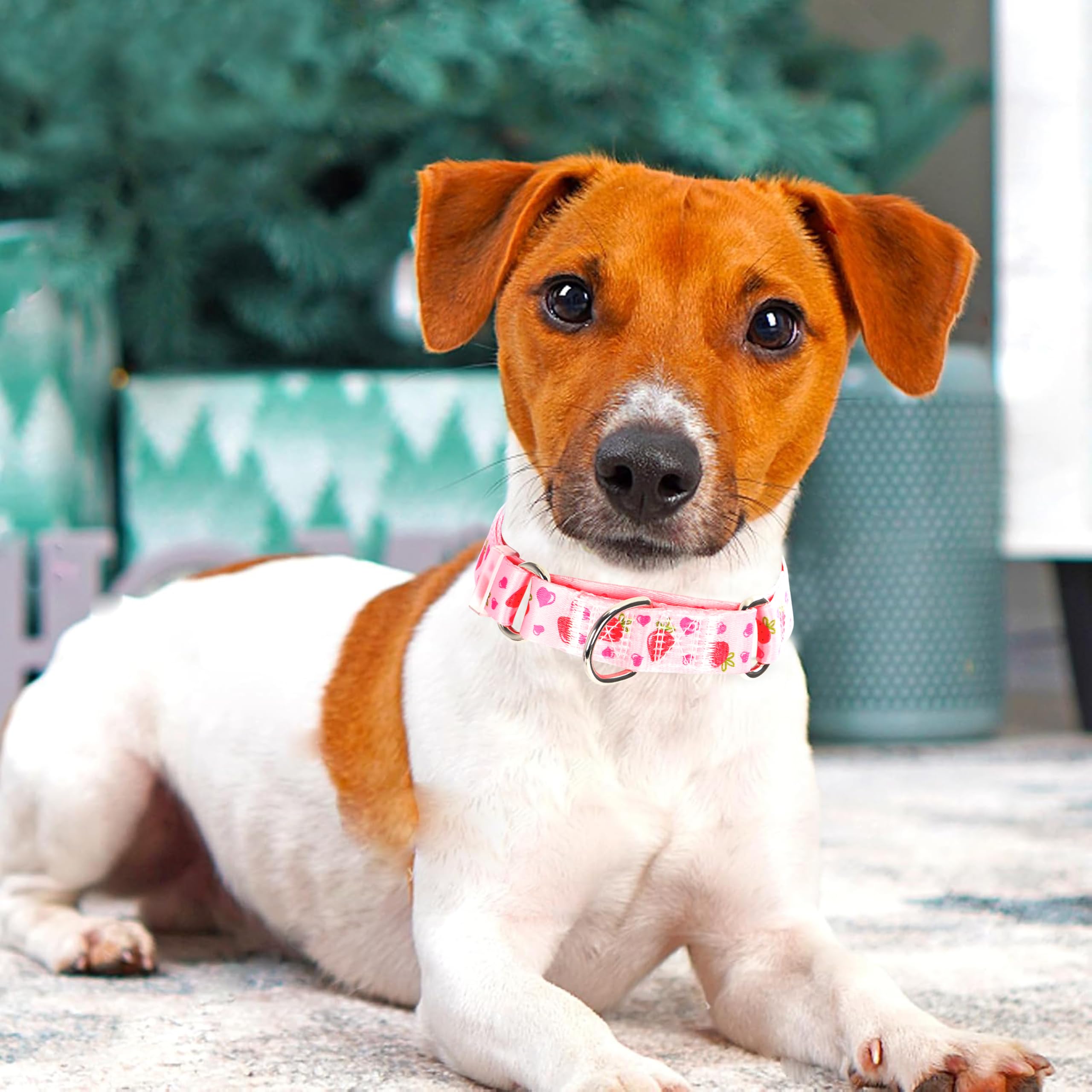 Onefojojo Martingale Collar For Dogs With Pink Strawberries