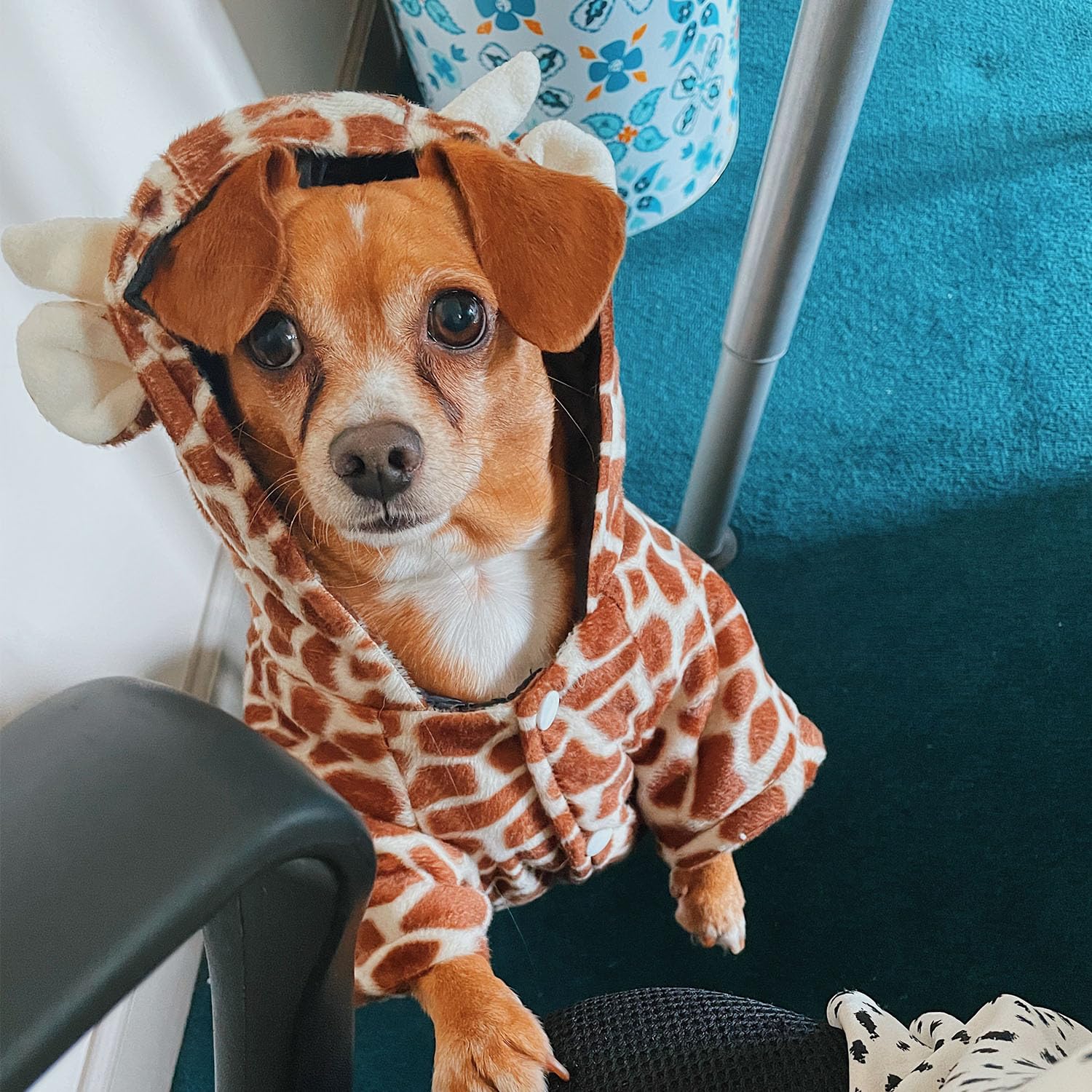 Fladorepet Funny Halloween Dog Giraffe Costume Outfits Clothes Winter Warm Fleece Dog Pet Cat Jacket Coat Hoodie (Medium (Pet 5-8Lbs), Brown)