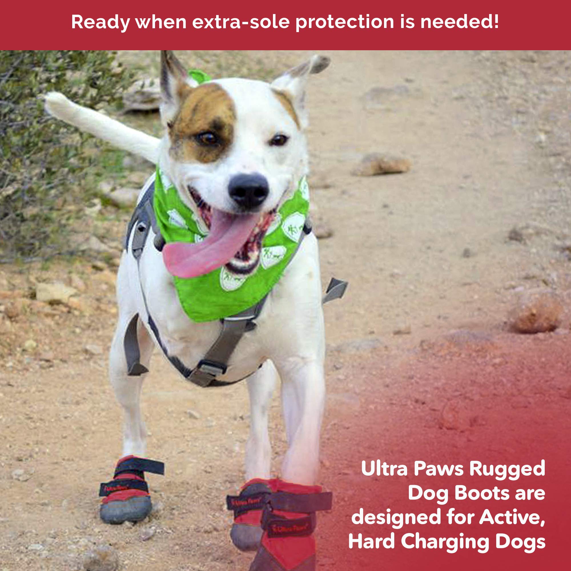 Ultra Paws Rugged Dog Boots and Paw Protectors for Small, Medium and Large Dogs Red (Size 4)