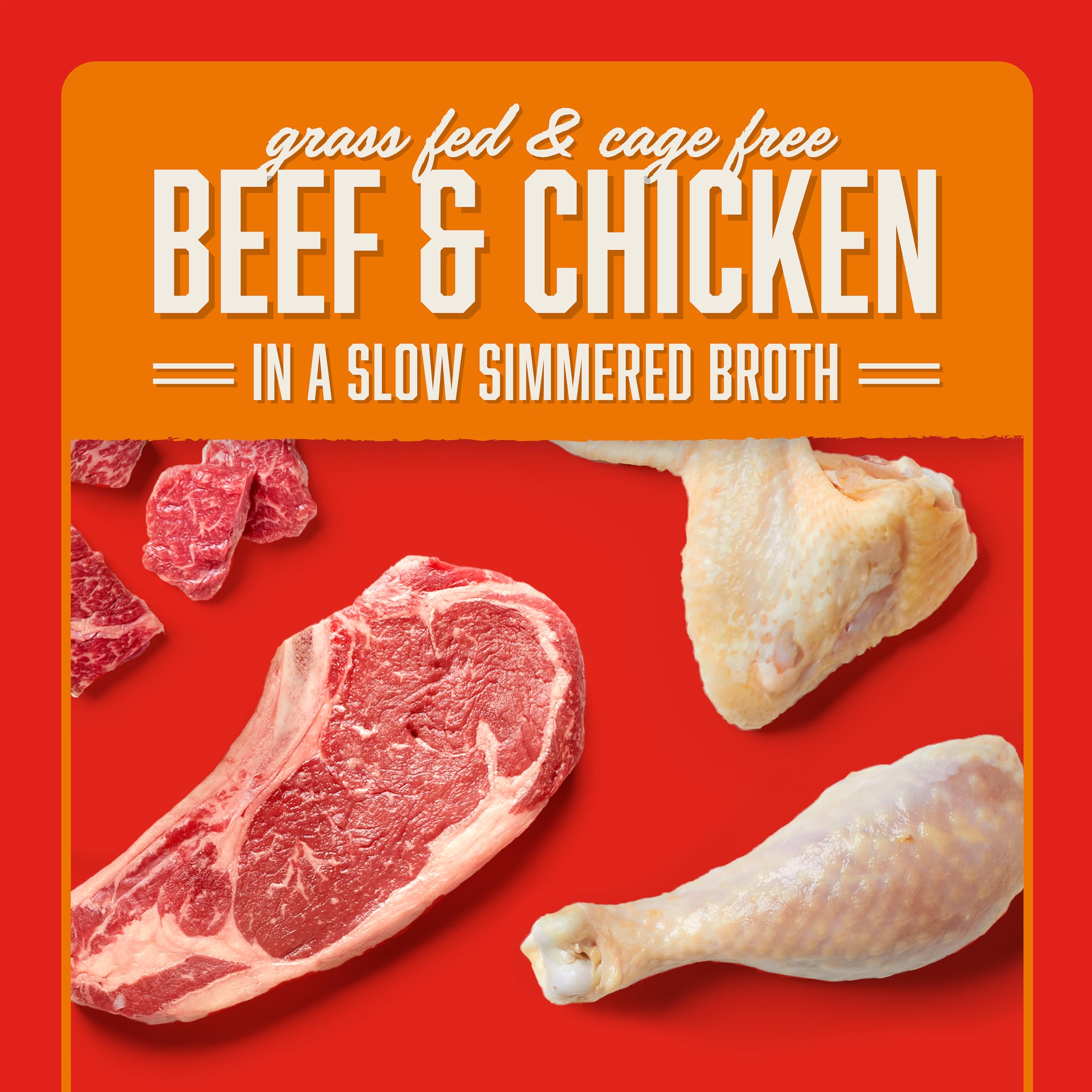 Stella & Chewys Stellas Shredrs Grass Fed & Cage Free Beef & Chicken Recipe in Broth, 2.8 oz. Pouches (Pack of 12)