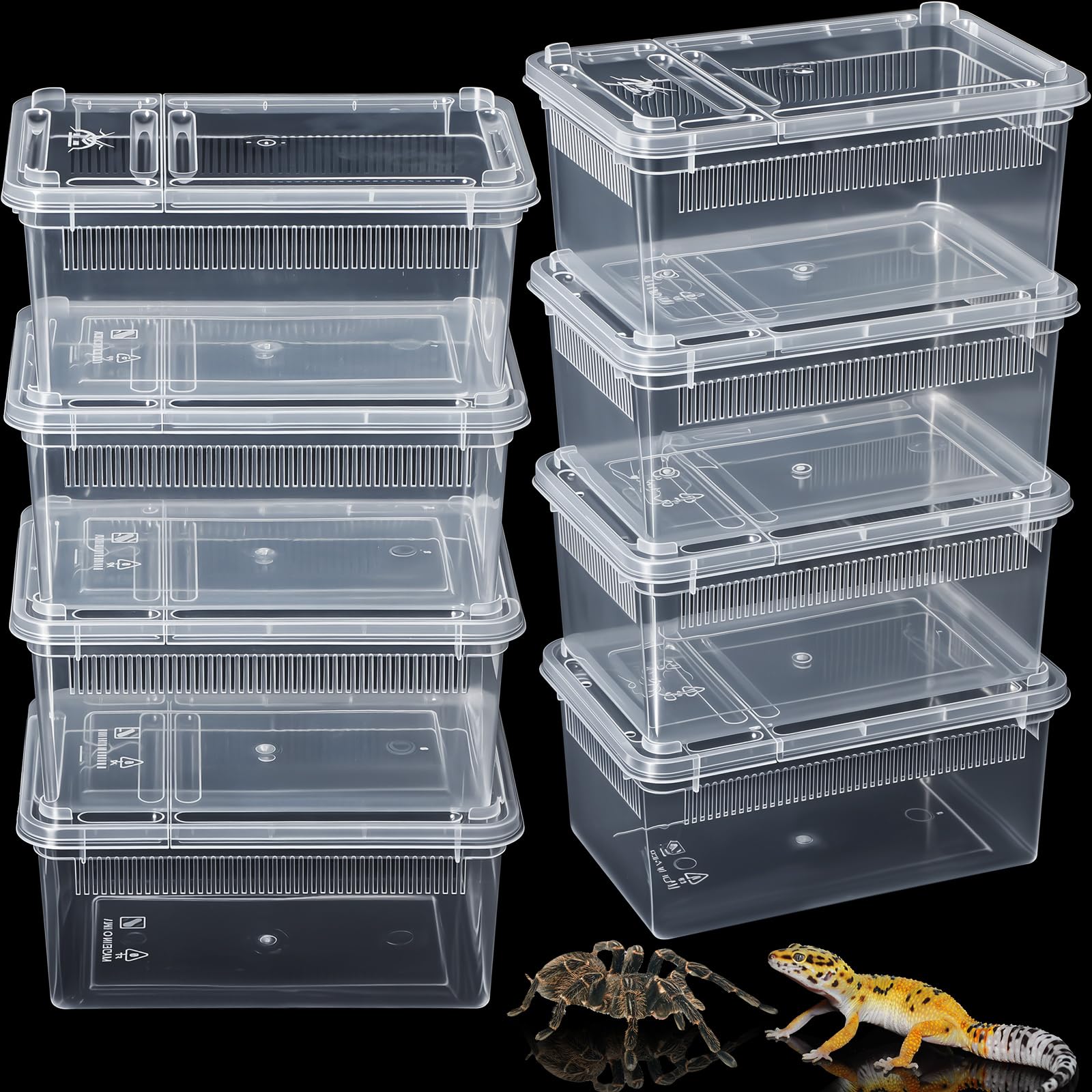 Irenare 8 Pcs Reptile Breeding Box Plastic Spider Terrarium Tarantula Feeding Box for Bearded Dragon Lizard Spider Gecko Scorpio