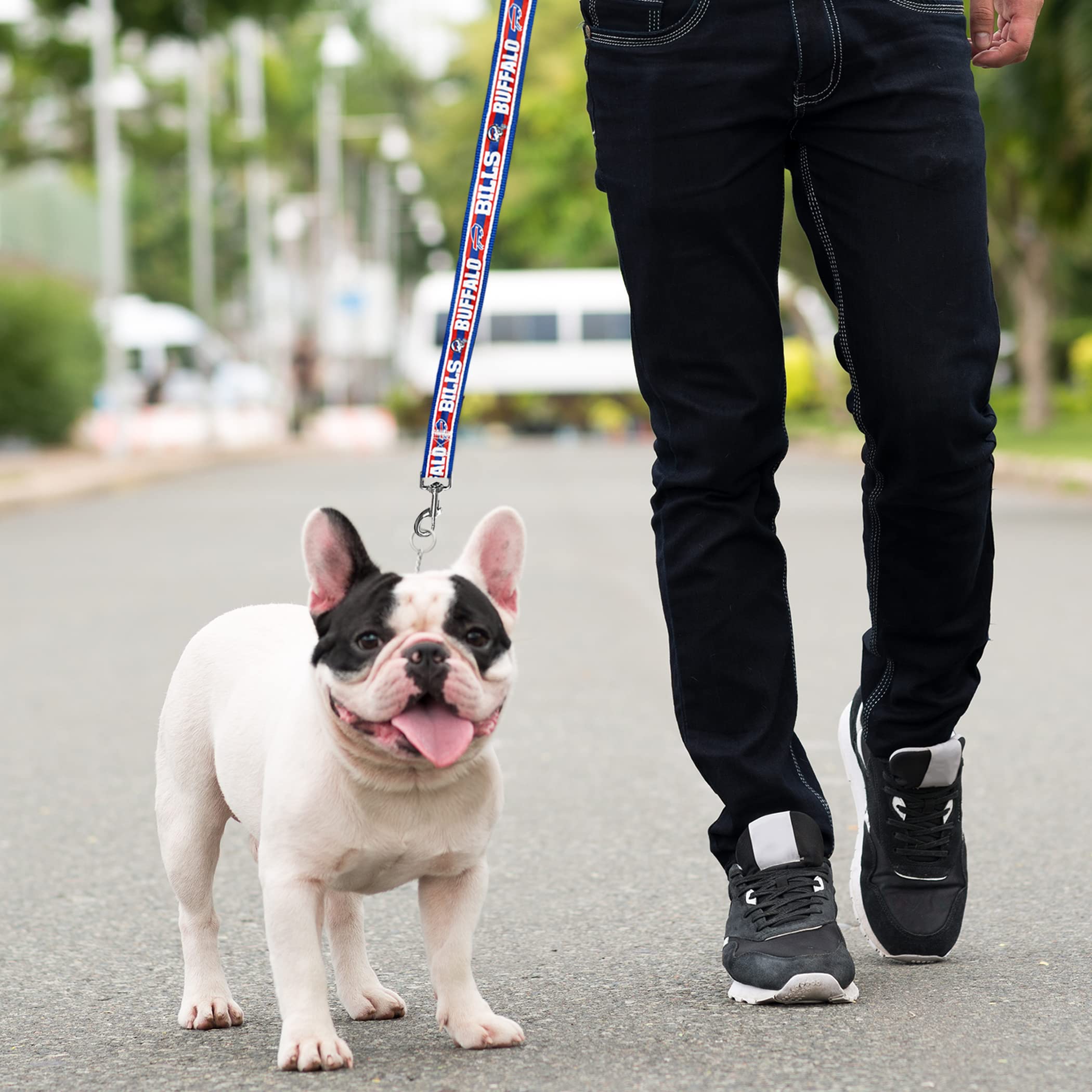 Nfl Pet Leash Buffalo Bills Dog Leash, Large Football Team Leash For Dogs & Cats. A Shiny & Colorful Cat Leash & Dog Leash Licen