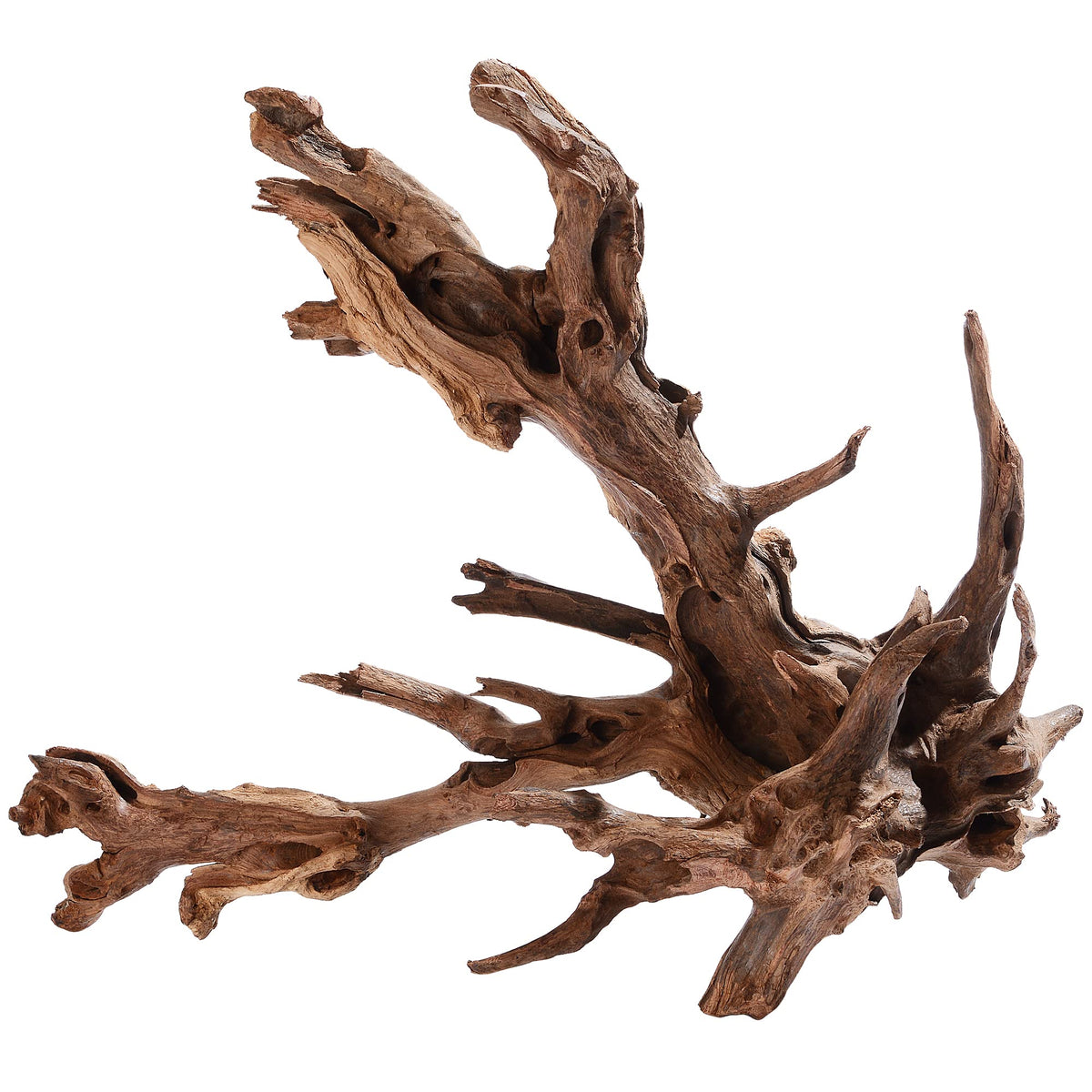 Majoywoo Natural Large Driftwood For Aquarium Decor Reptile Decor 13-17'' Long, Over 1.3 Lbs