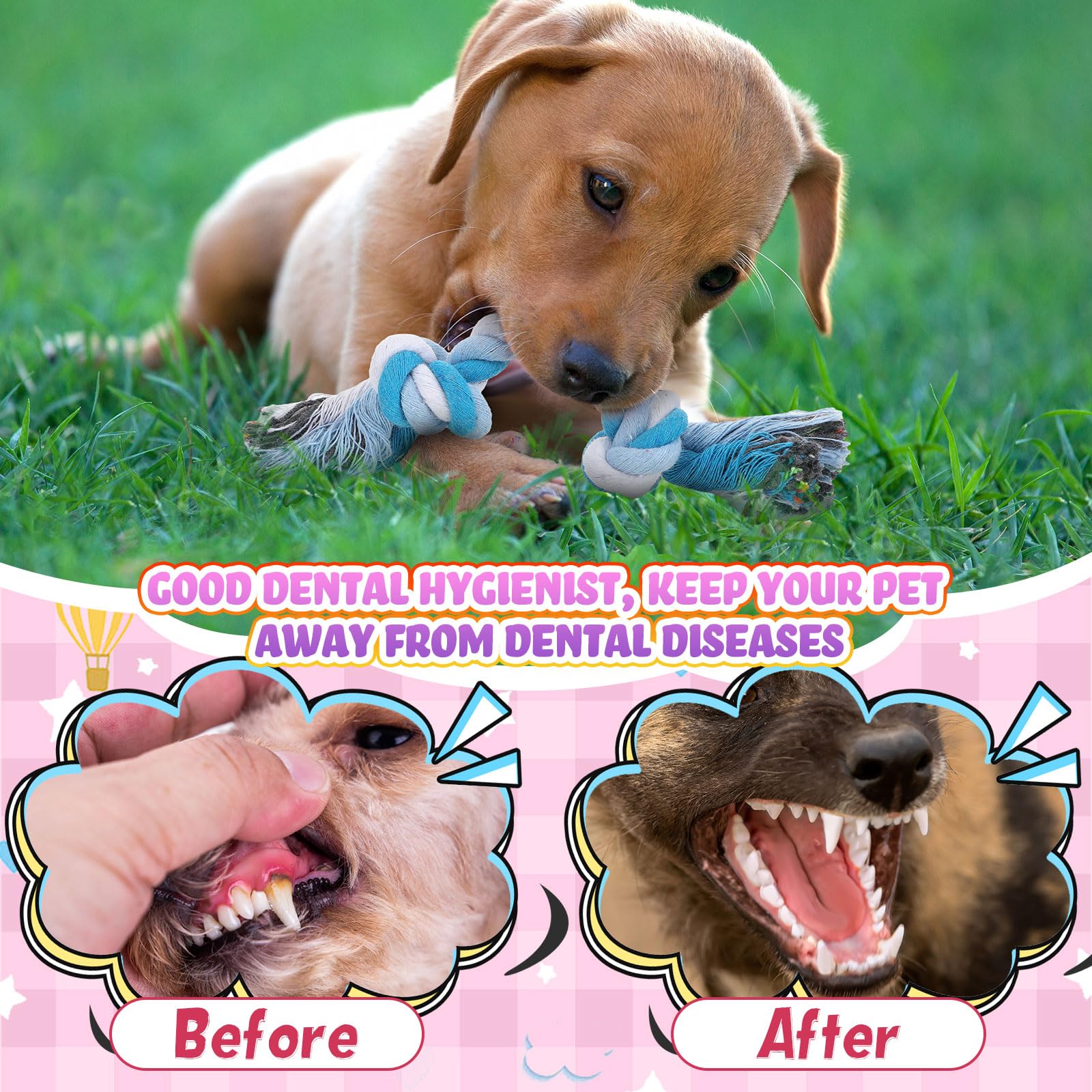 Paterr 12 Pcs Rope Dog Toys Multi Color Puppy Rope Toy Cotton Puppy Toys Dog Chew Puppy Teething Toys For Small And Medium Dogs