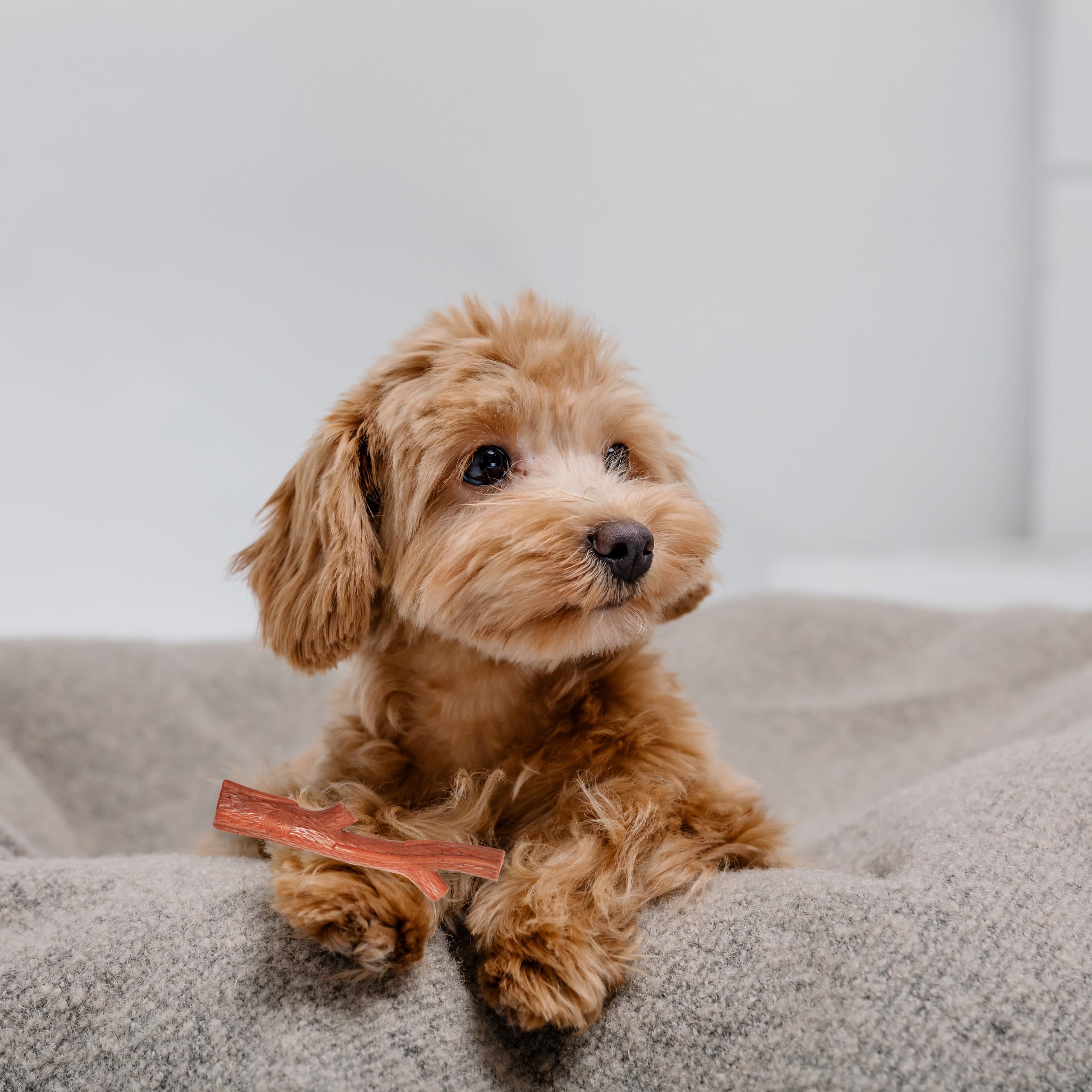 Spot Bam-Bones Plus Branch -Bamboo Fiber & Nylon, Durable Long Lasting Dog Chew For Aggressive Chewers – Great Toy For Adult Dogs & Teething Puppies Under 60Lbs, Non-Splintering, 5.75In, Beef Flavor