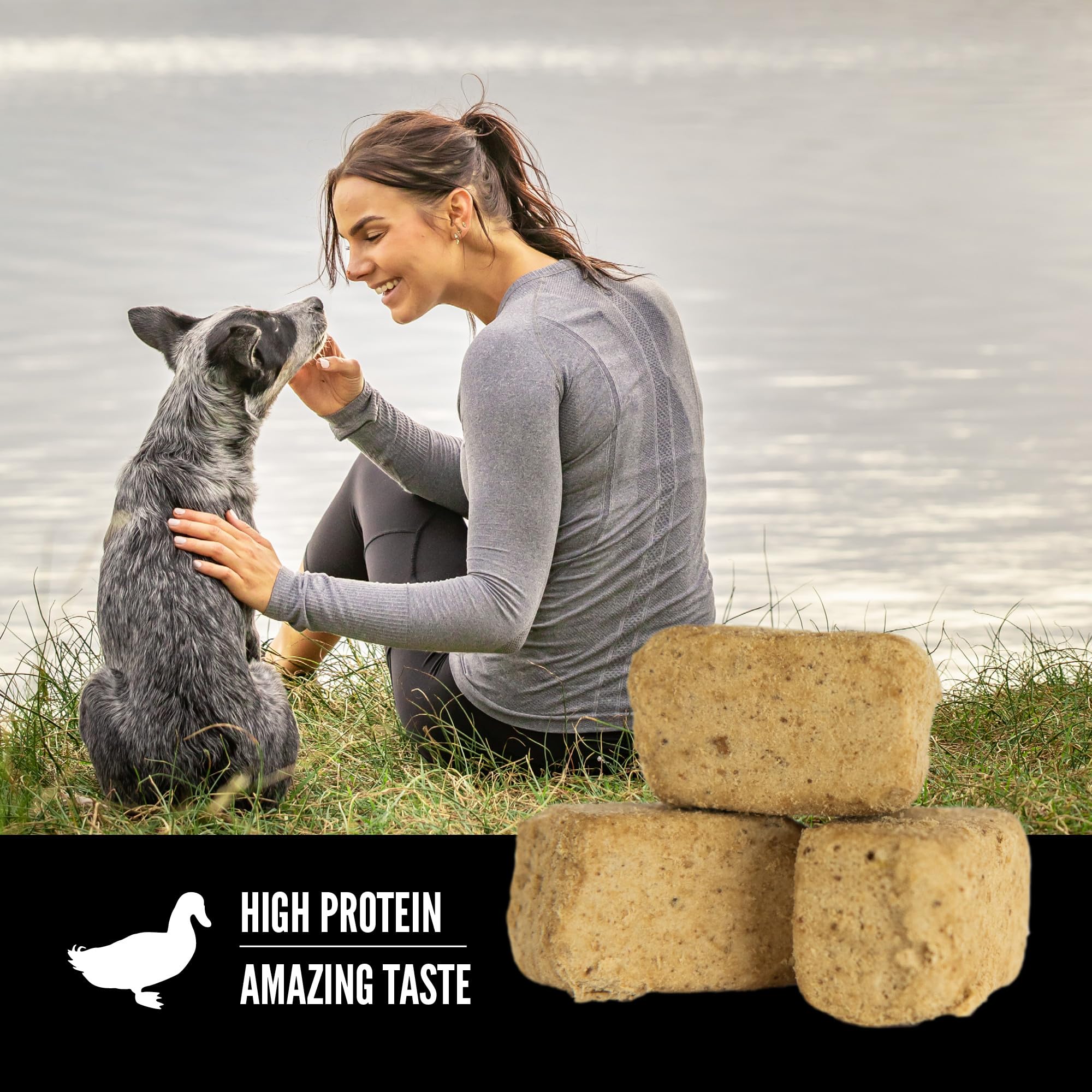ORIJEN Freeze Dried Duck Dog Treats, 3.25oz - Natural, High-Protein Treats for Dogs