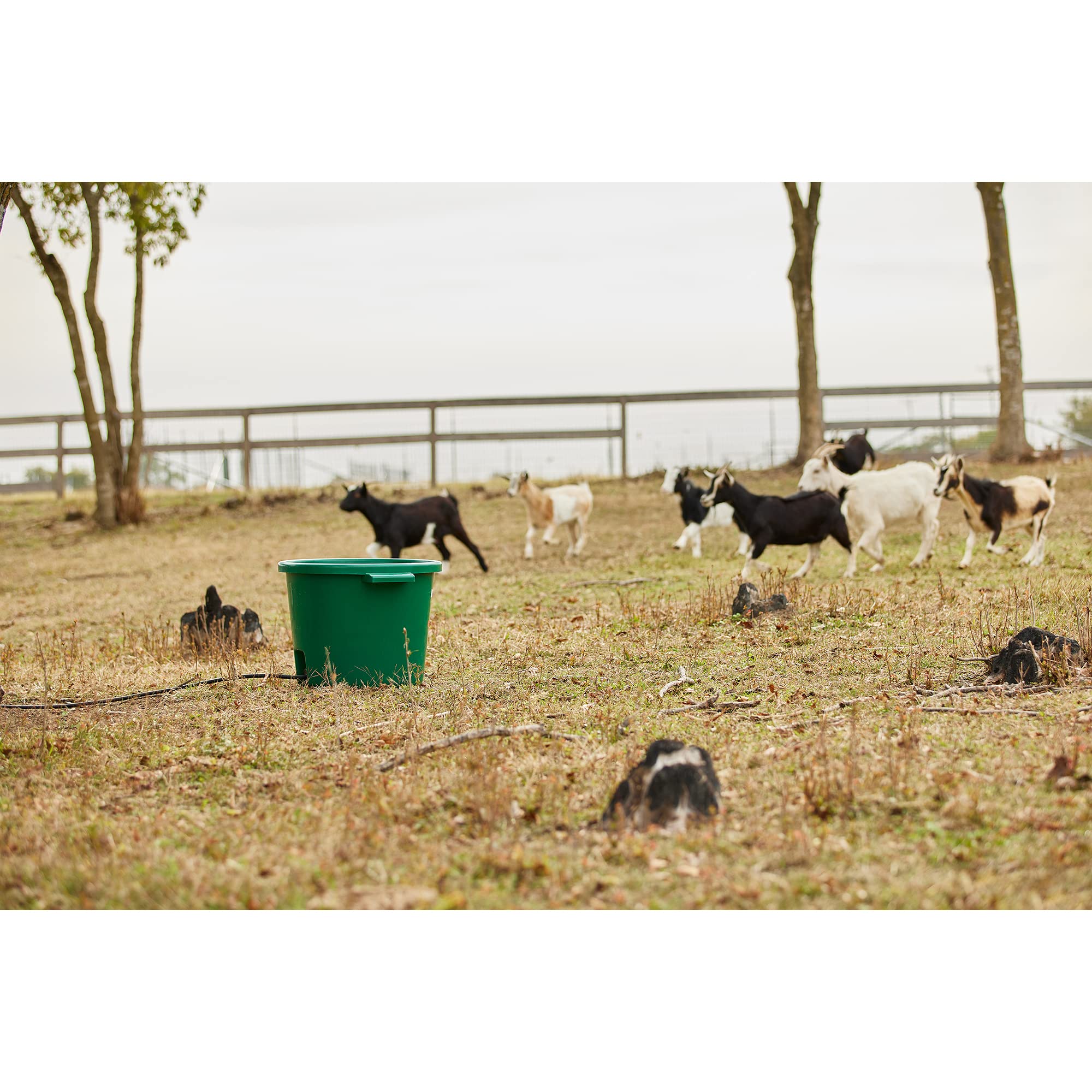 Farm Innovators Ht-200 16 Gallon Plastic Heated Livestock Pet Farm Animal Water Bucket Tub With Hidden De-Icer Heating Element, Green