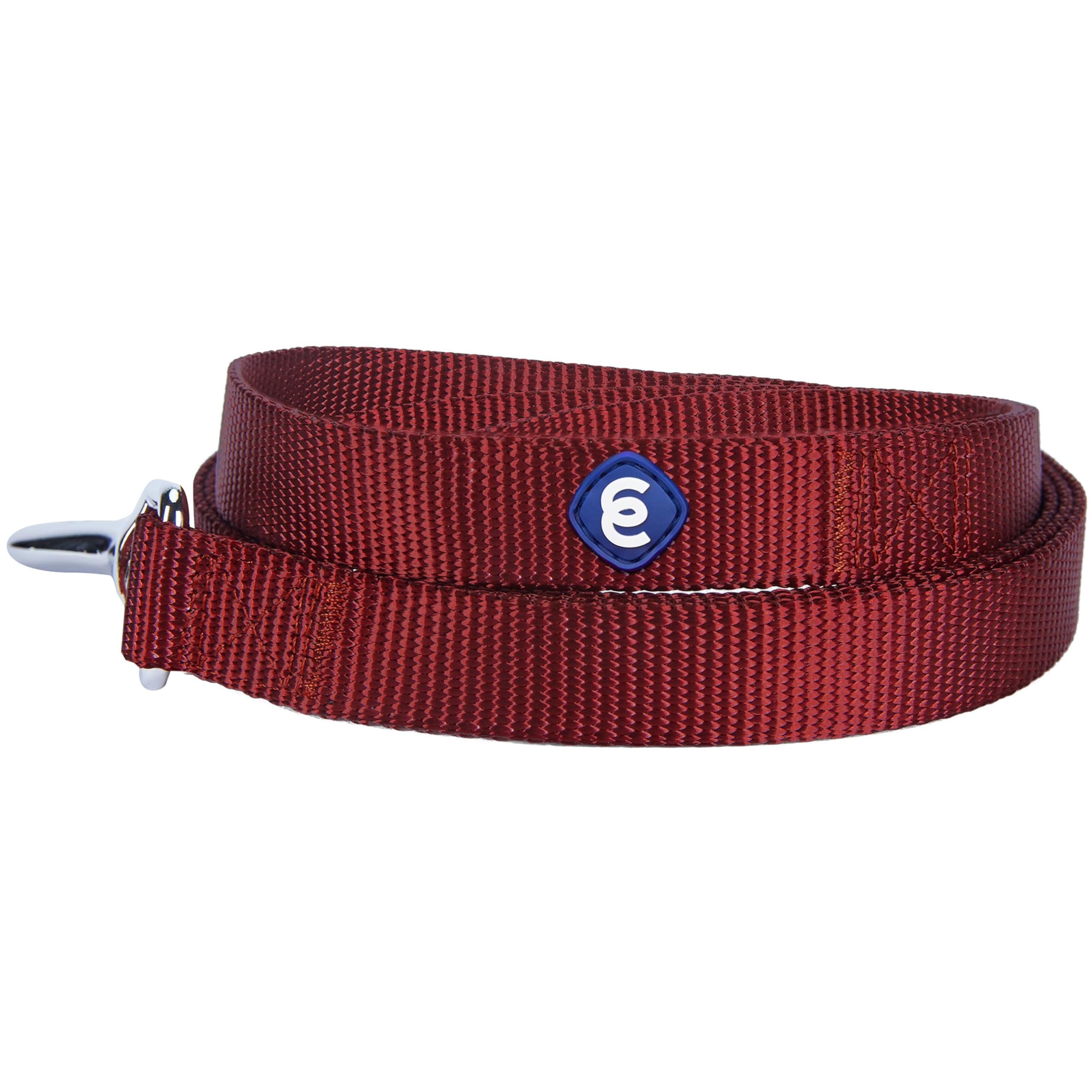 Blueberry Pet Essentials Classic Dog Leash - 5Ft. X 5/8 Small, Fired Brick, Lightweight & Standard