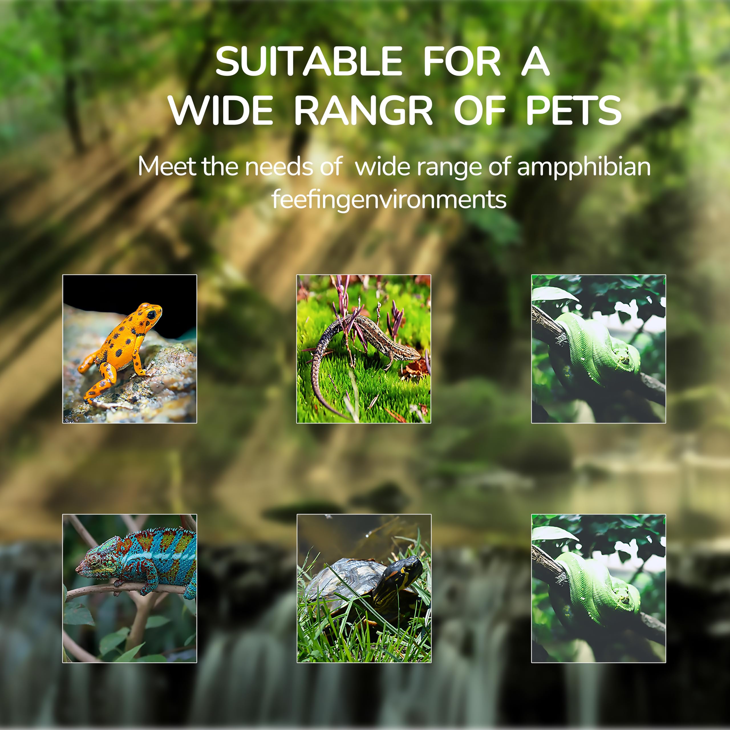 Repticircle Gallon Full Glass Reptile Tank, Medium Terrarium For Gecko, Hermit Crab, Hognose Snake & More, With Top Screen Venti