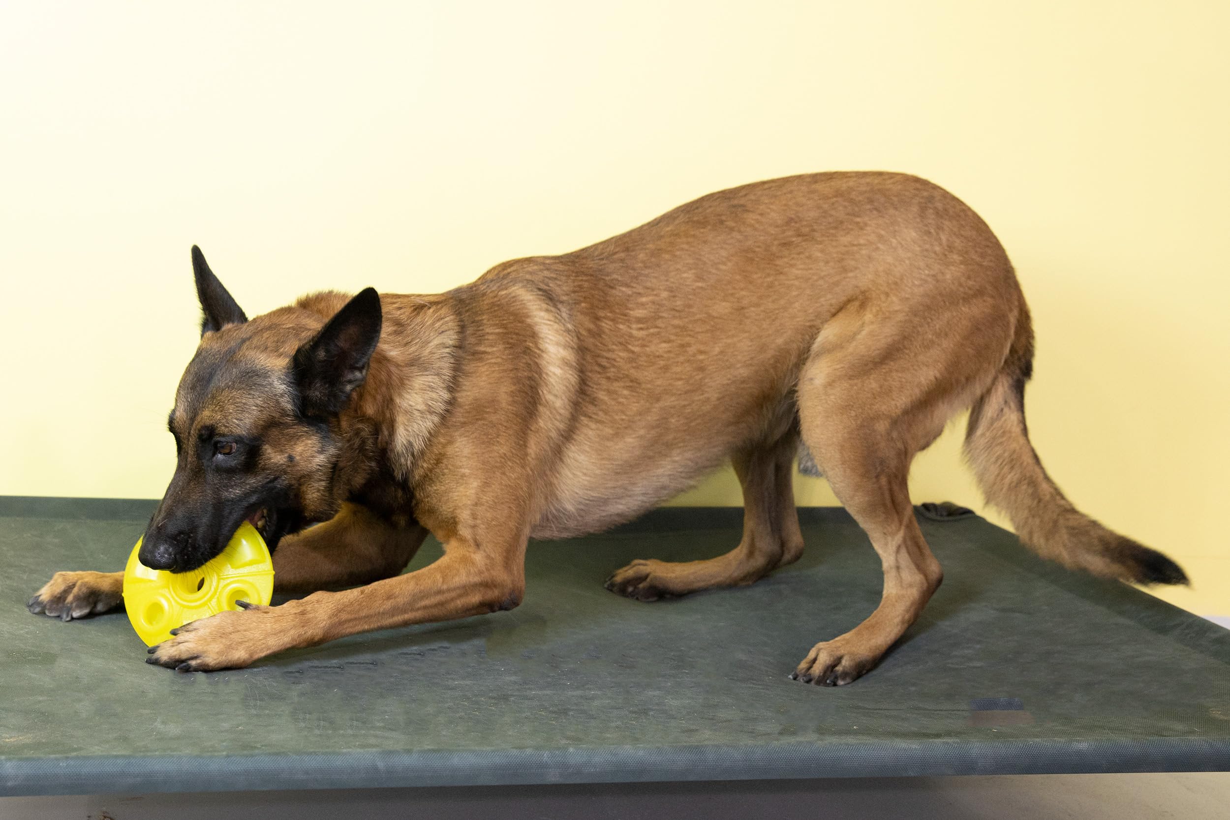 Starmark Treat Ringer Flexgrip Ufo Medium