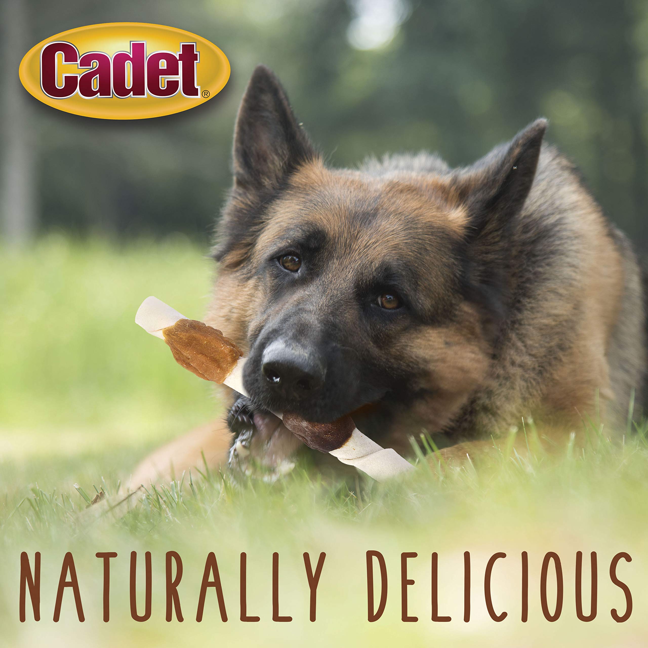 Cadet Gourmet X-Large Triple-Flavored Beef Hide Shish Kabob Dog Treats - Healthy & Natural Chicken, Liver, and Sweet Potato Dog