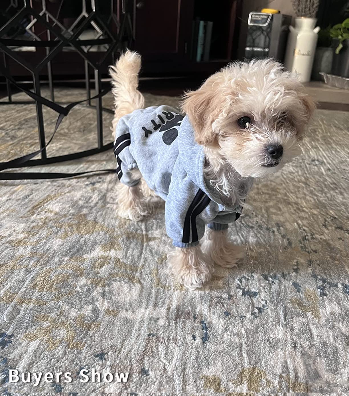 Otunrues Dog Hoodies, Pet Dog Clothes Pullover 4 Legs Jumpsuit Sweatshirt Security Patterns Outfit Doggie Winter Coat Cotton Puppy Hoodied For Small Medium Large Dogs Cats(Gray,Xs)