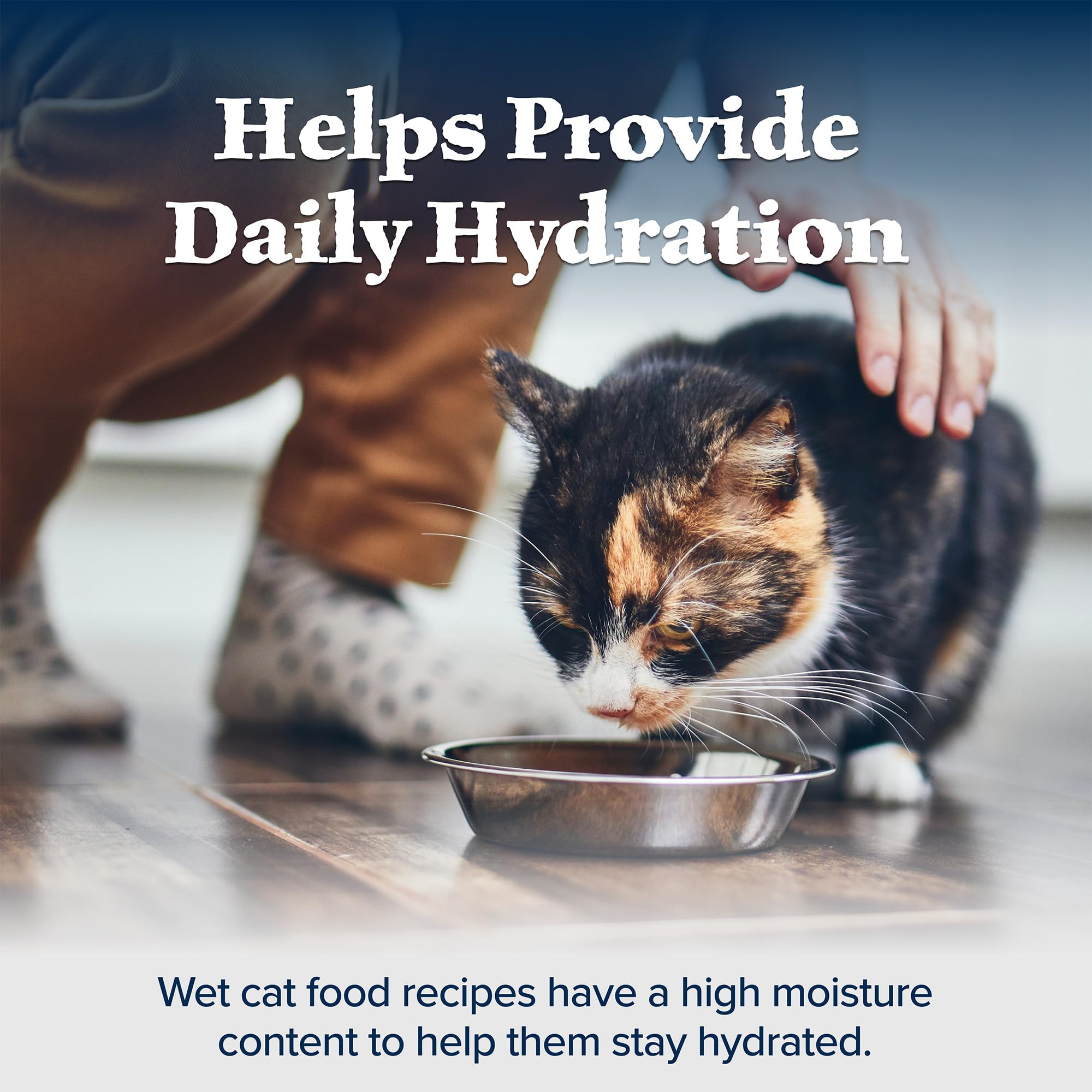Blue Buffalo Wilderness Natural Wet Cat Food Pat  , High-Protein & Grain-Free Recipe, Chicken, 5.5-oz. Cans (24 Count)