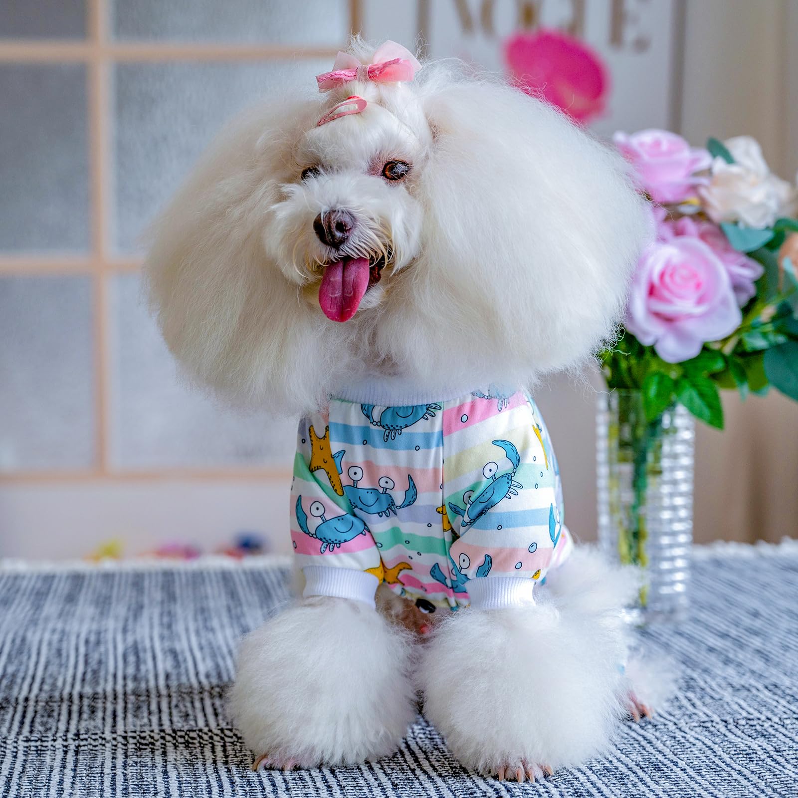 Cutebone Small Dog Pajamas Shirt Stretchy Summer Puppy Pjs Soft Cat Onesies Pet Clothes For Daily Wear Da22L