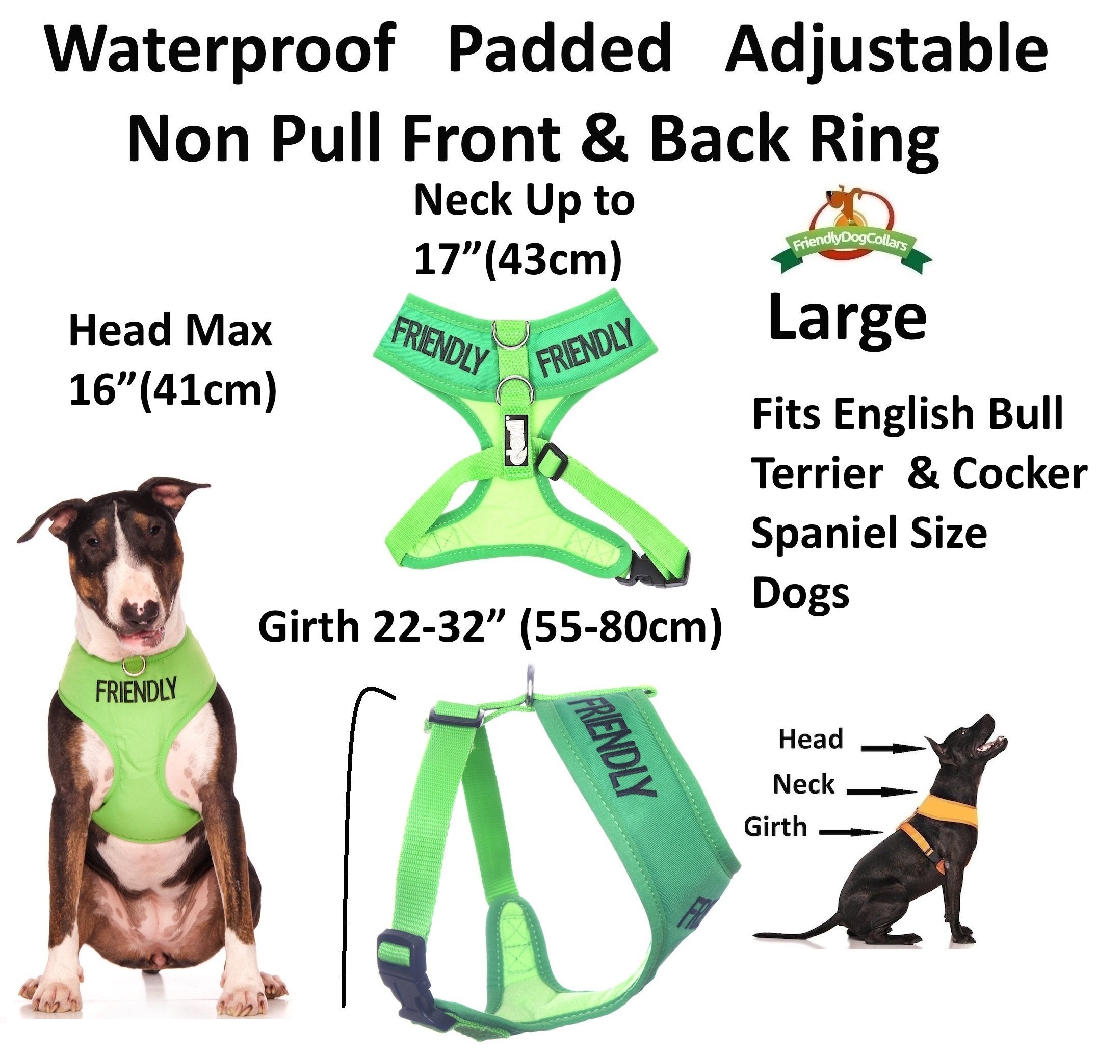 Friendly (Known As Friendly To All) Green Color Coded Non-Pull Front And Back D Ring Padded And Waterproof Vest Dog Harness Prevents Accidents By Warning Others Of Your Dog In Advance (L)