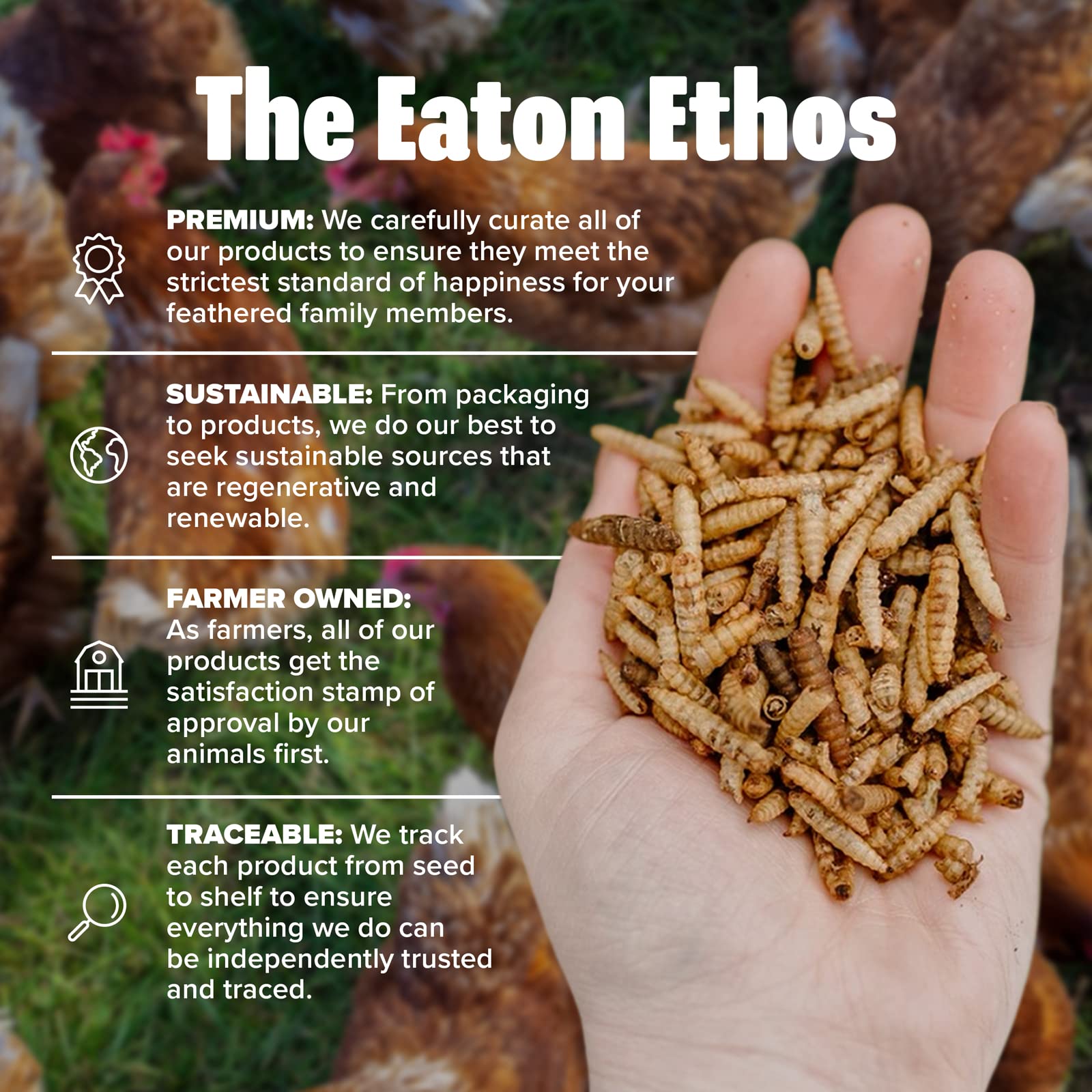 Eaton Pet and Pasture Premium Grubs, USA Grown Dried Black Soldier Fly Larvae, High Calcium Treat for Chickens, Ducks, Wild Bird