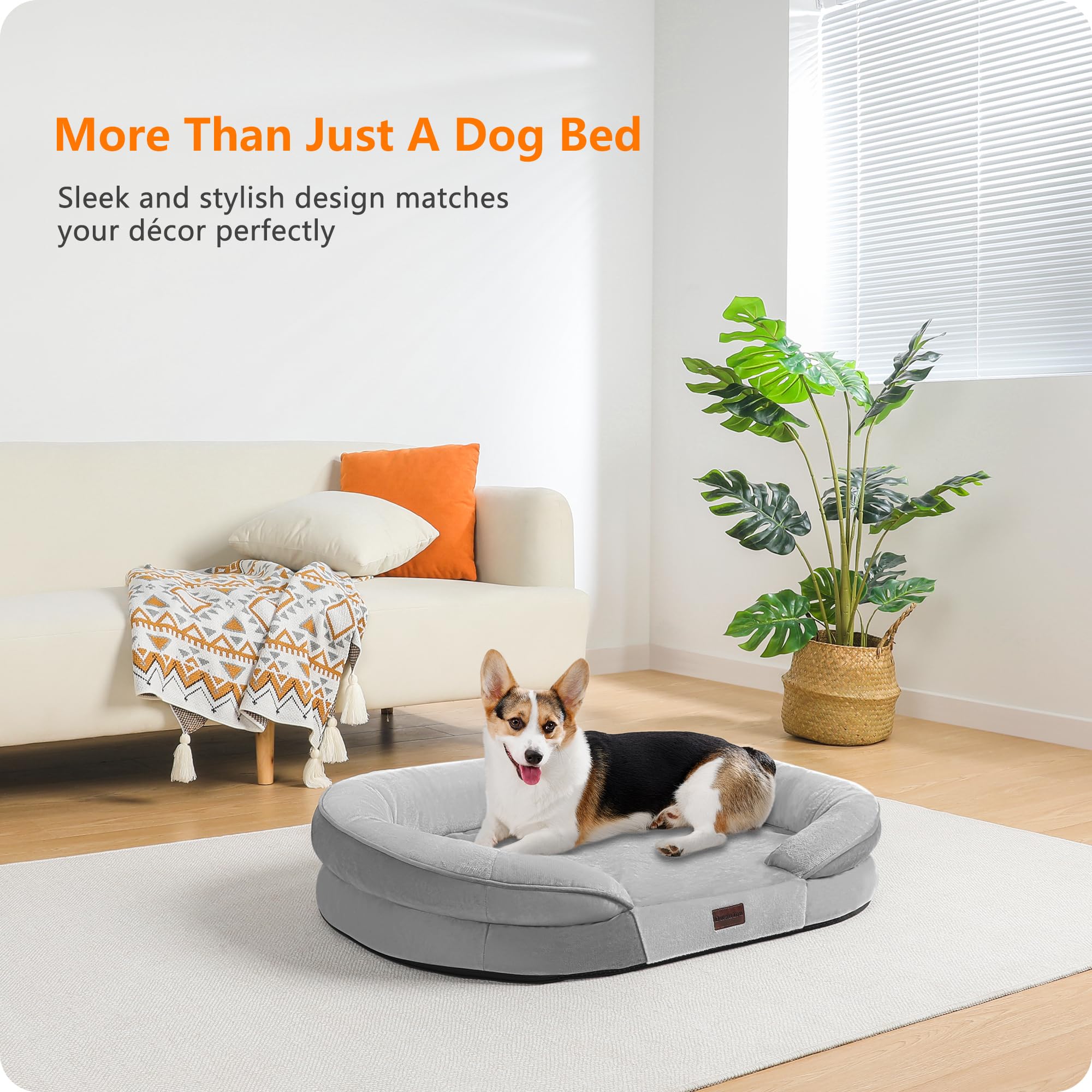 Dwanton Orthopedic Dog Bed - Waterproof Medium Pet Sofa, Egg Foam Support, Washable, Light Gray, 35"x25.5"x6" with Non-Slip Bottom
