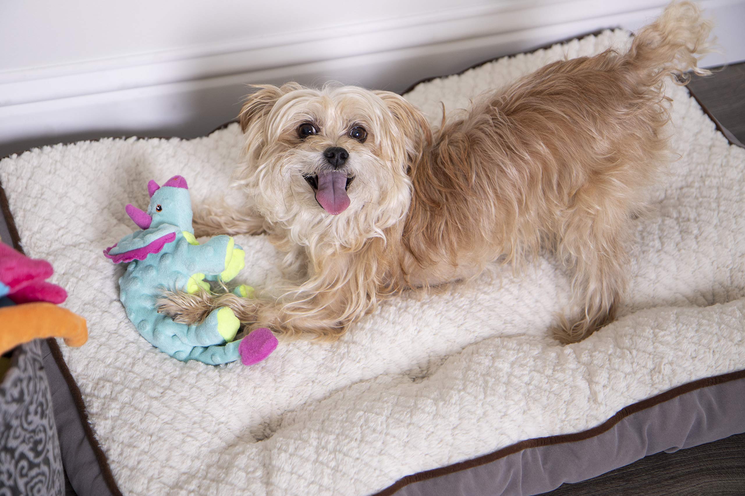 Godog Dinos Frills Plush Squeaker Chew Guard Dog Toy, Small, Teal