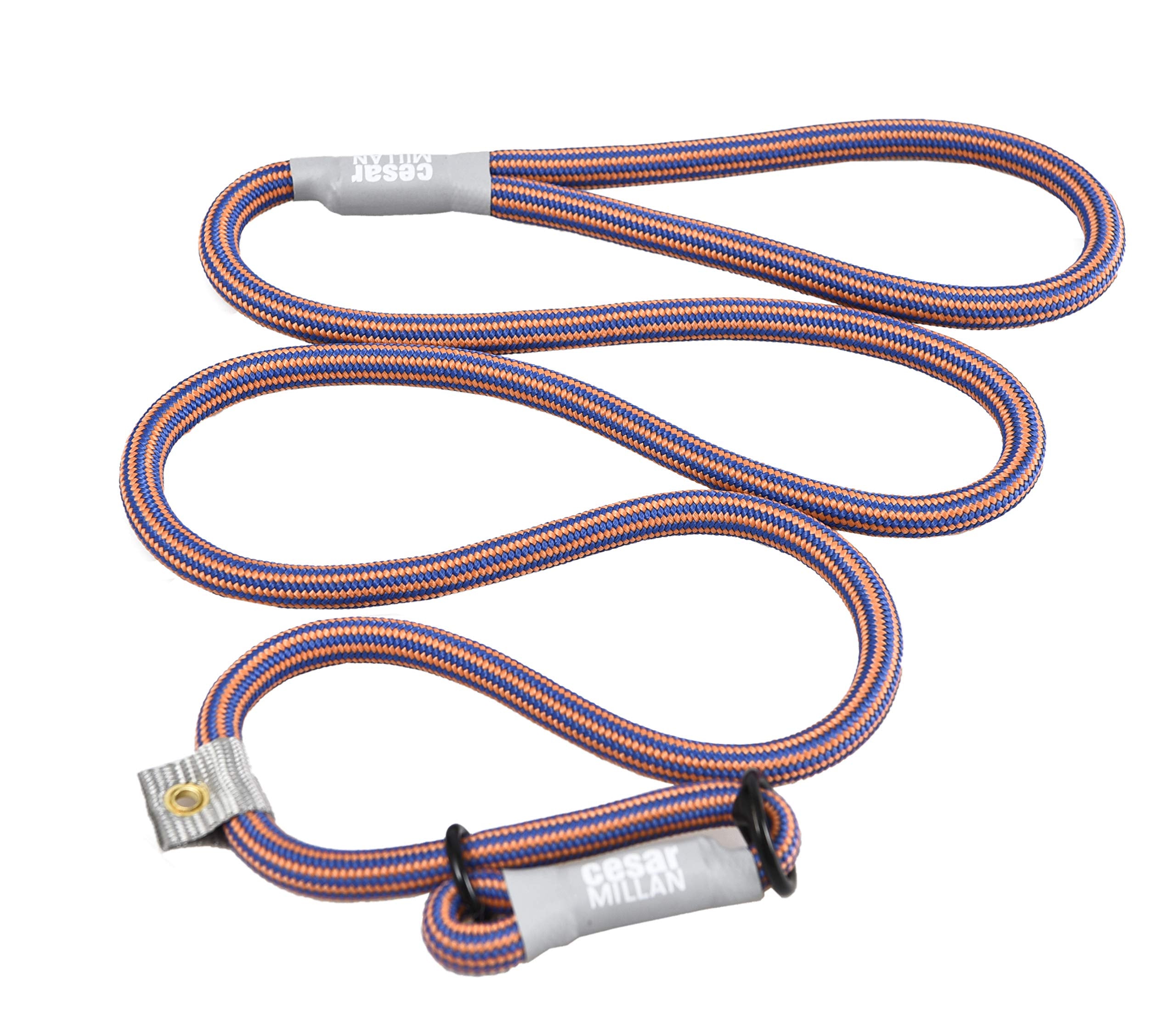 Cesar Millan Slip Lead Leash™ - 2-In-1 Slip Collar Dog Training Lead & Collar | Heavy Duty Durable Weatherproof Rope Leash, No Pull Training | Length 4Ft Diameter 4/10”(Regular, Blue/Orange)