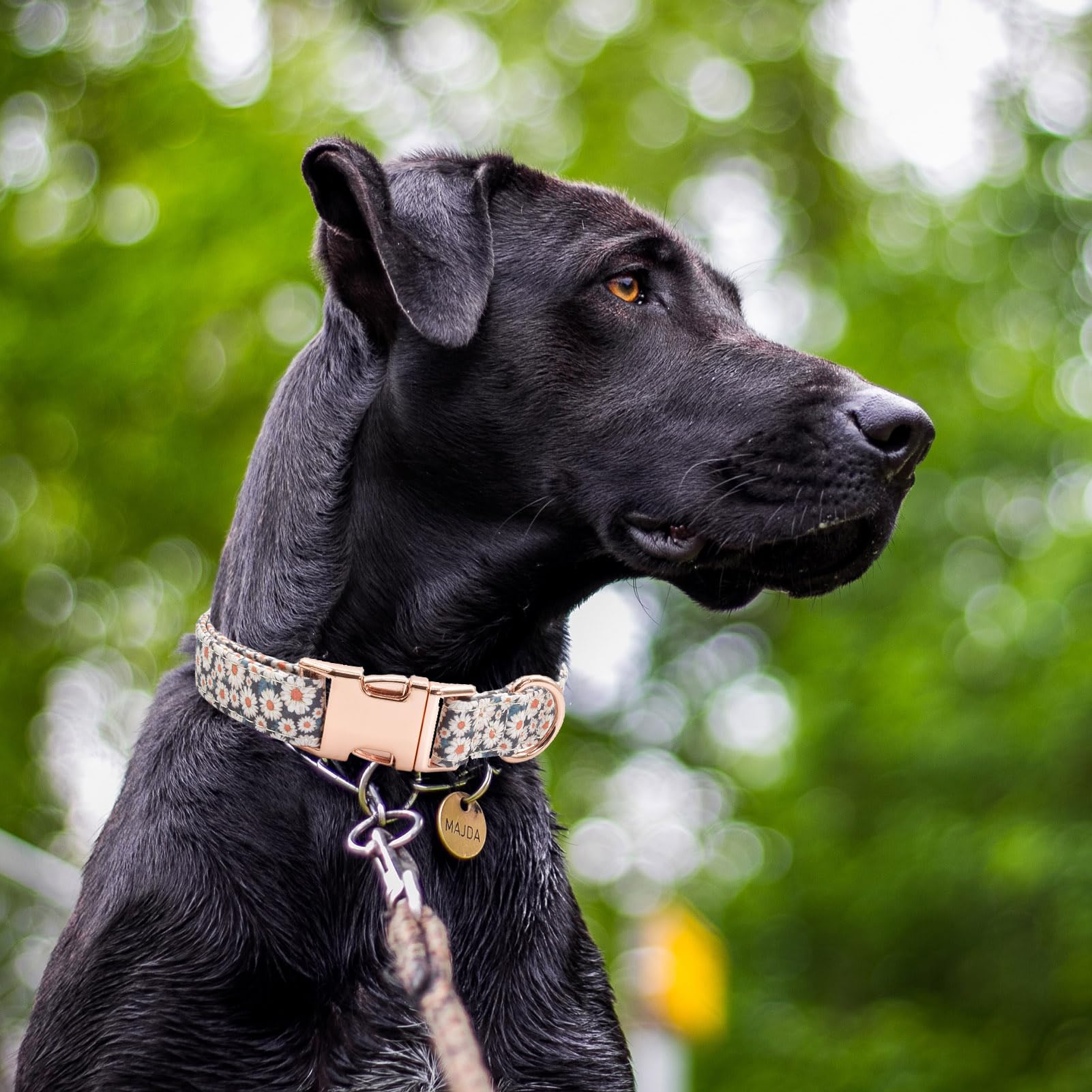 Cotton Dog Collar Metal Buckle Daisy Summer, Cute Adjustable Dog Collar Soft For Small Medium Large Boys Girls Dogs Durable (01-