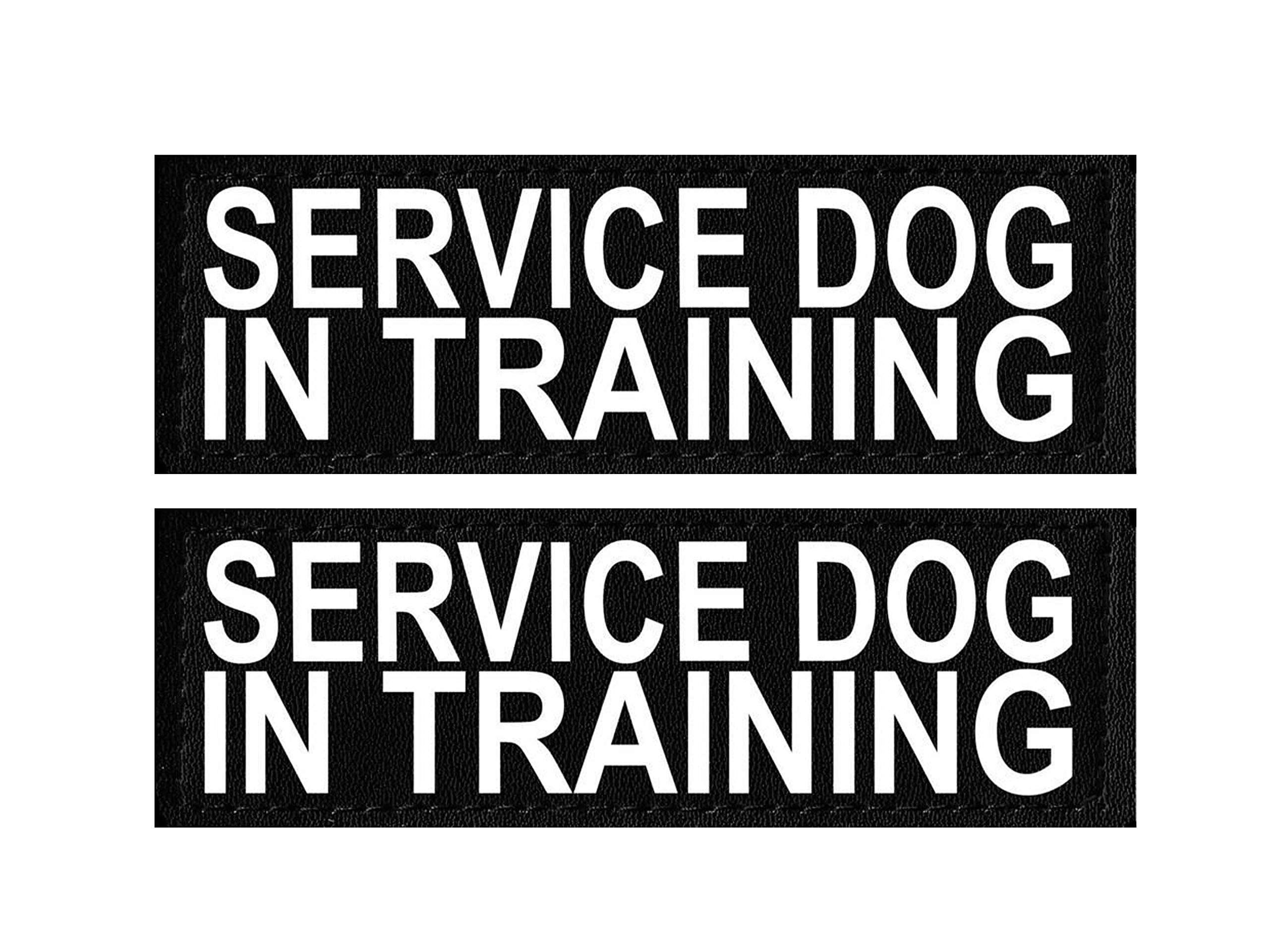 Set Of 2 Reflective Service Dog In Training Patches For Service Dog Harnesses & Vests. (Medium 4' X 1.5')