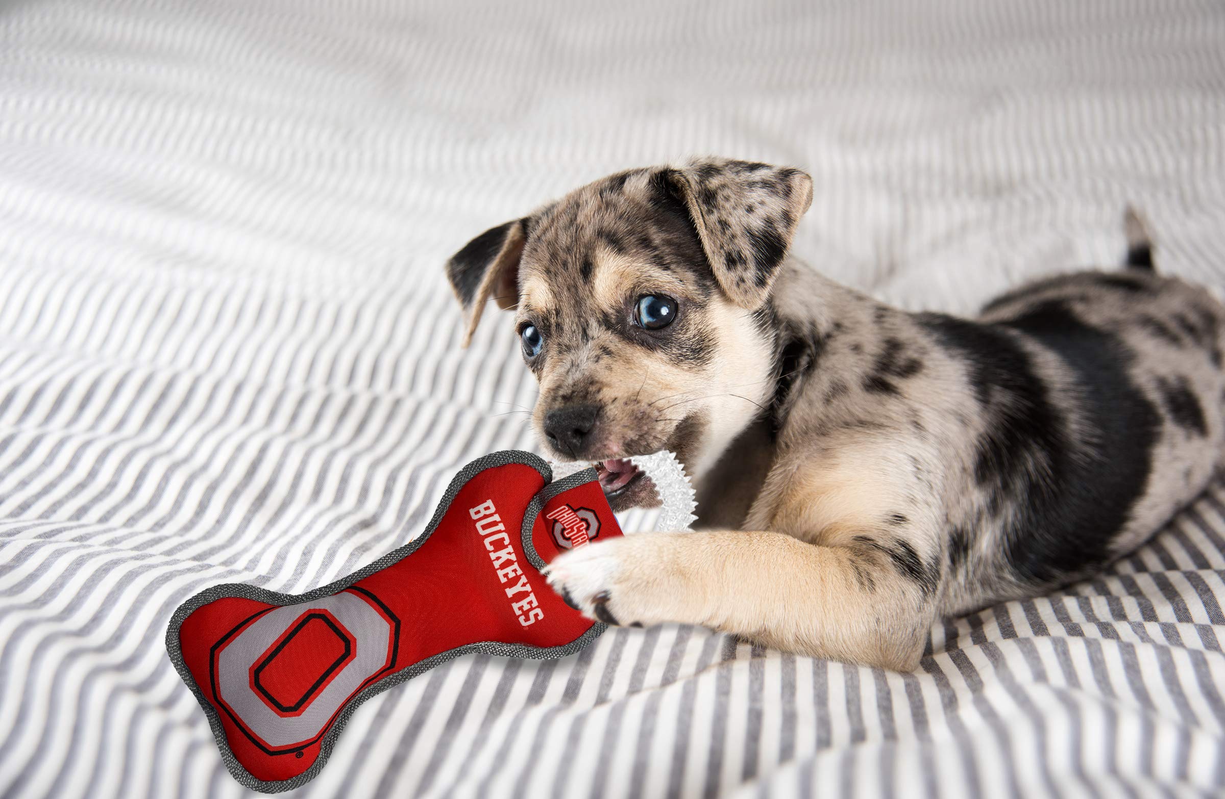 Pets First Ncaa Ohio State Buckeyes Dental Dog Tug Toy With Squeaker. Tough Pet Toy For Healthy Fun, Teething & Cleaning Pets Te