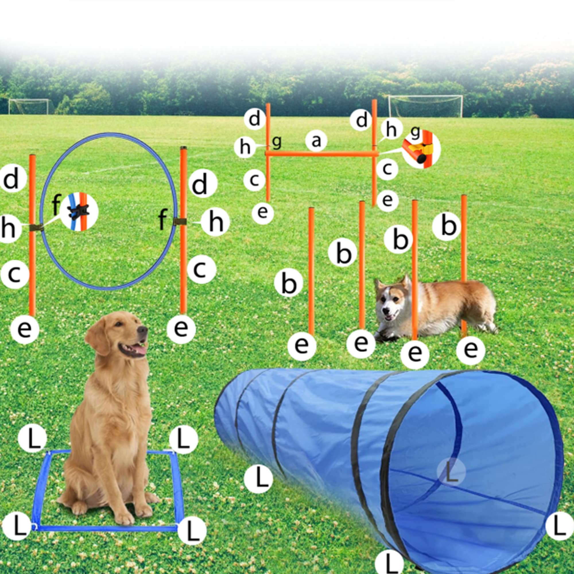 Geerduo Dog Agility Training Equipment, Obstacle Agility Training Starter Kit For Doggie, Including Tunnel, 13 Weave Poles, Adju