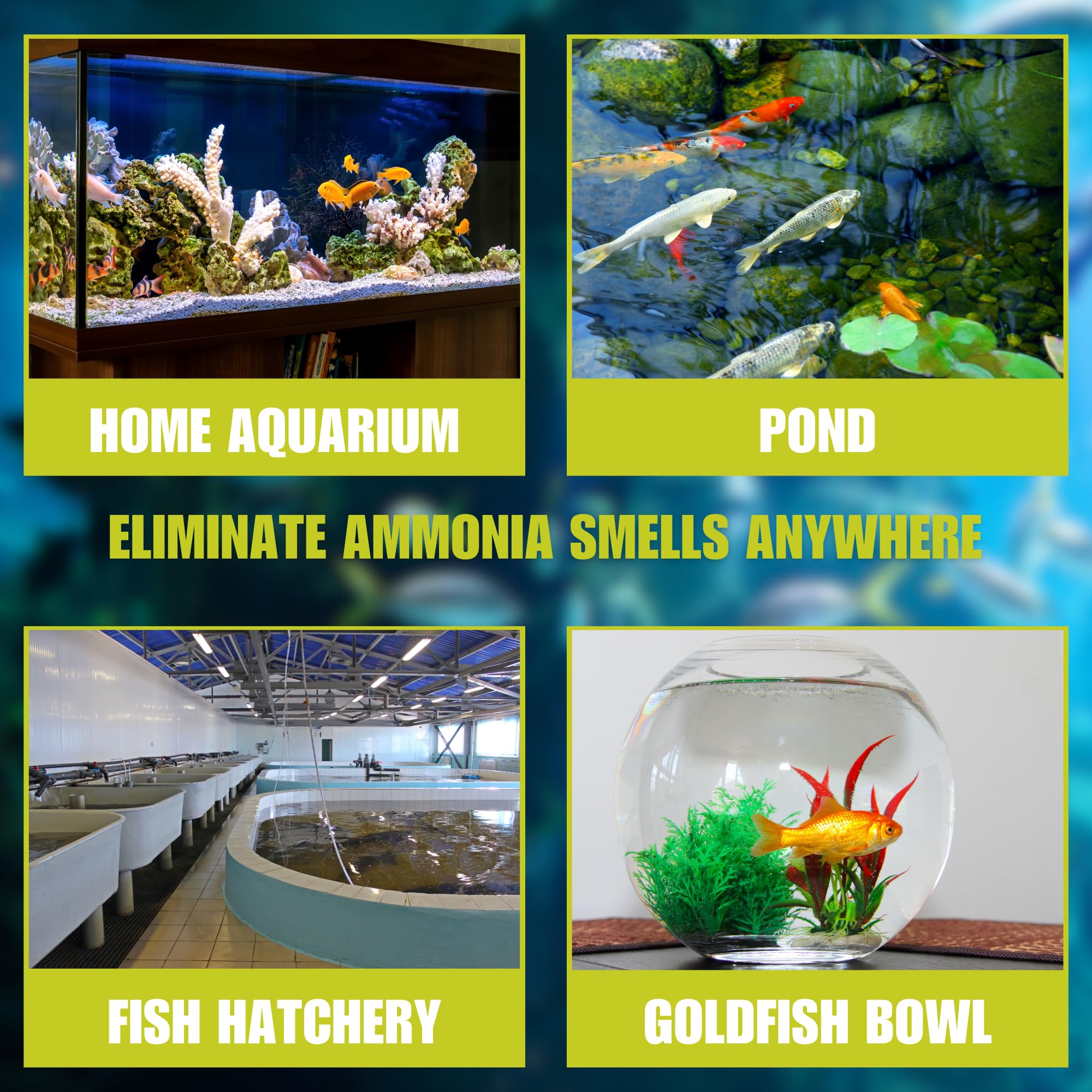 Ammosorb® Eco Aquarium Ammonia Removal Granules 2Lbs
