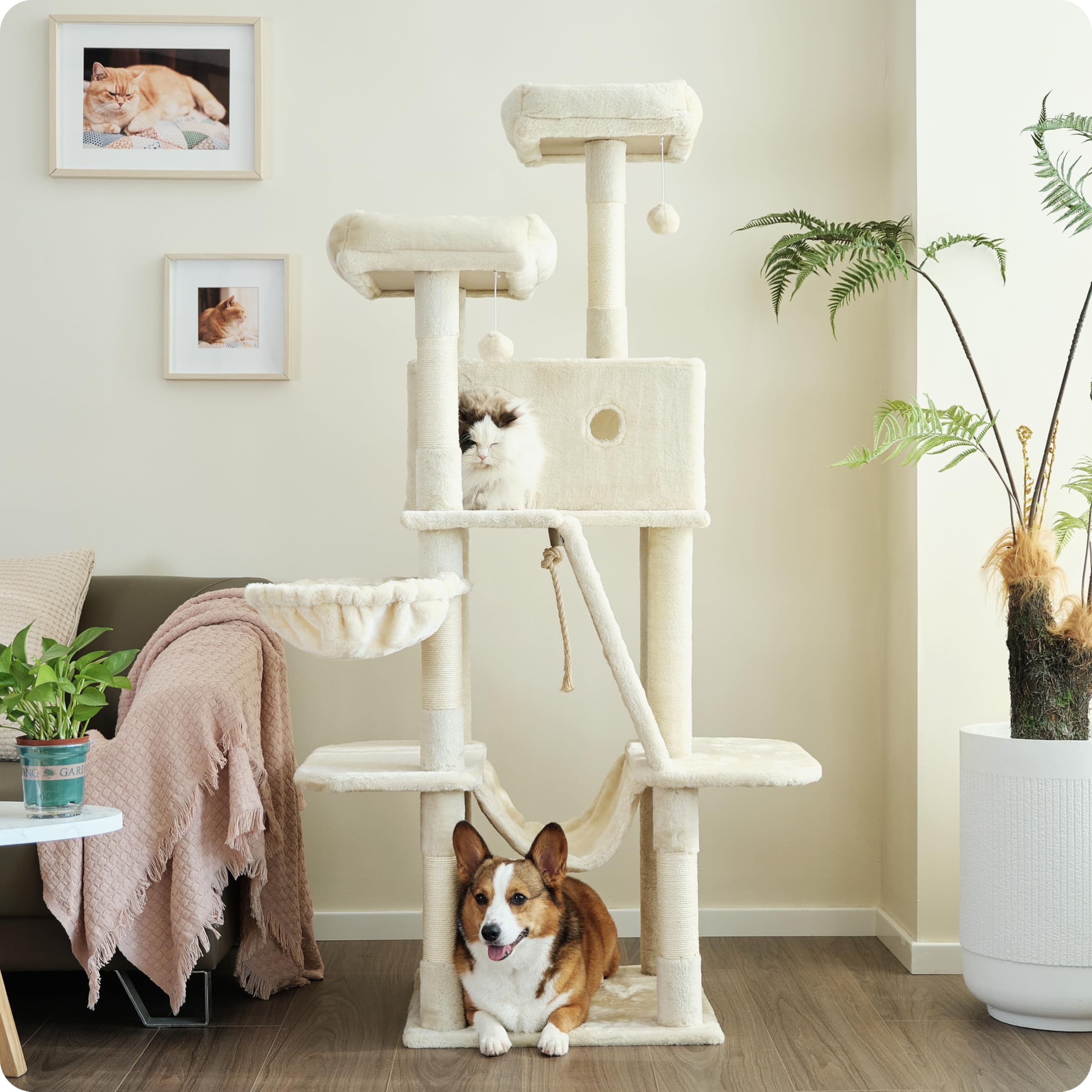Ouritsu Cat Tree, 61 Inch Tall Cat Tower For Large Cat Indoor, Enlarged Condo, 2 Padded Perches With 1 Widened, Large Hammock, S